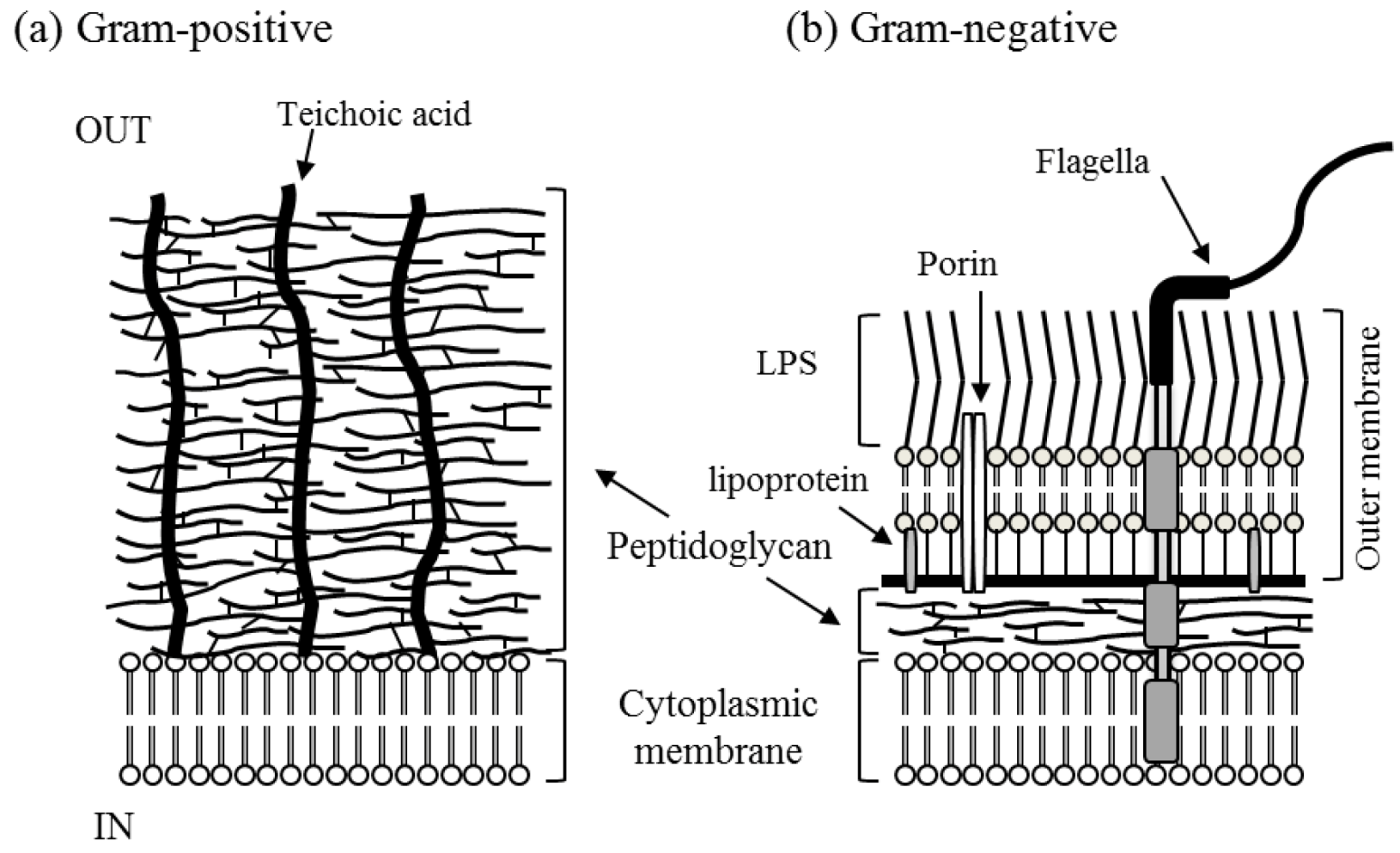 Catalysts 03 00310 g002
