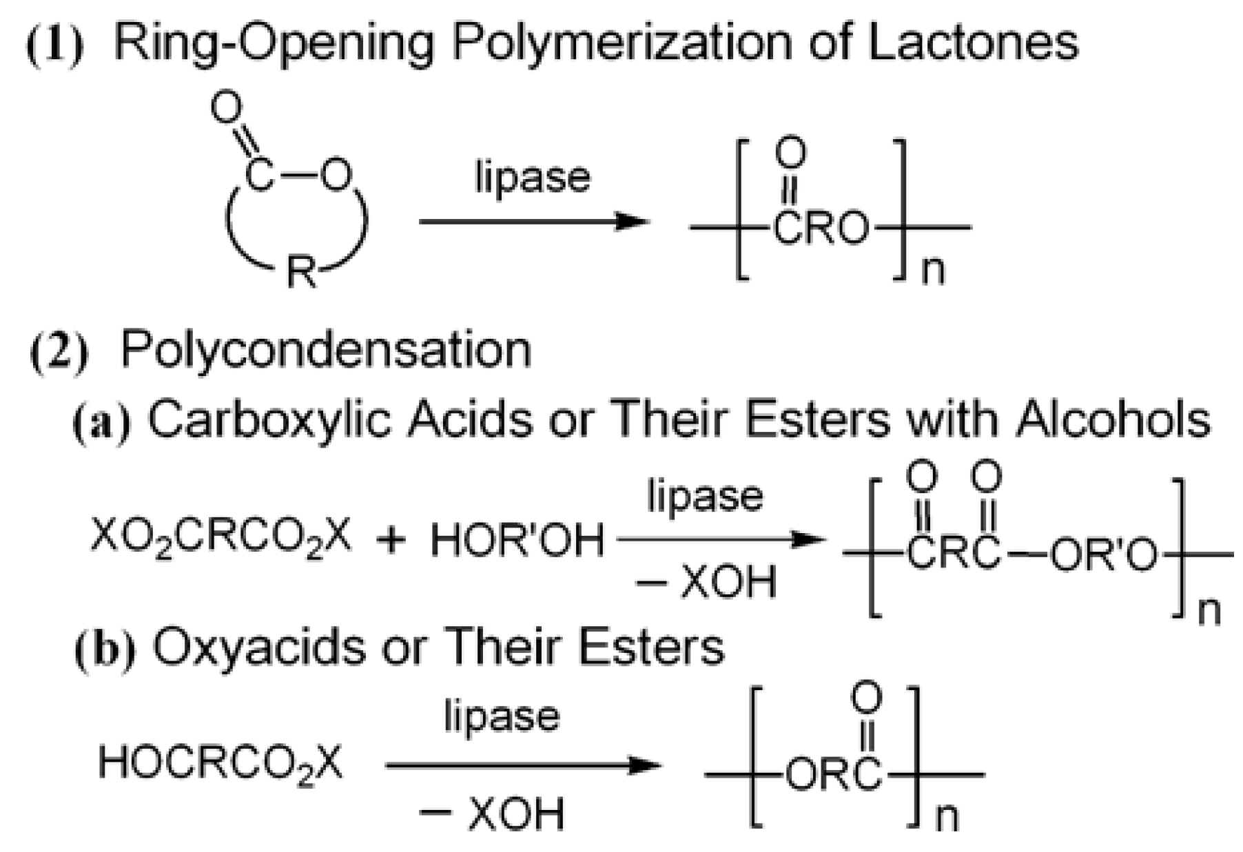 Catalysts 03 00401 g005