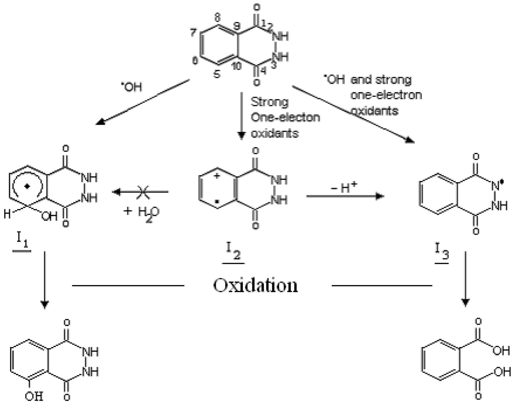 Catalysts 03 00418 g002