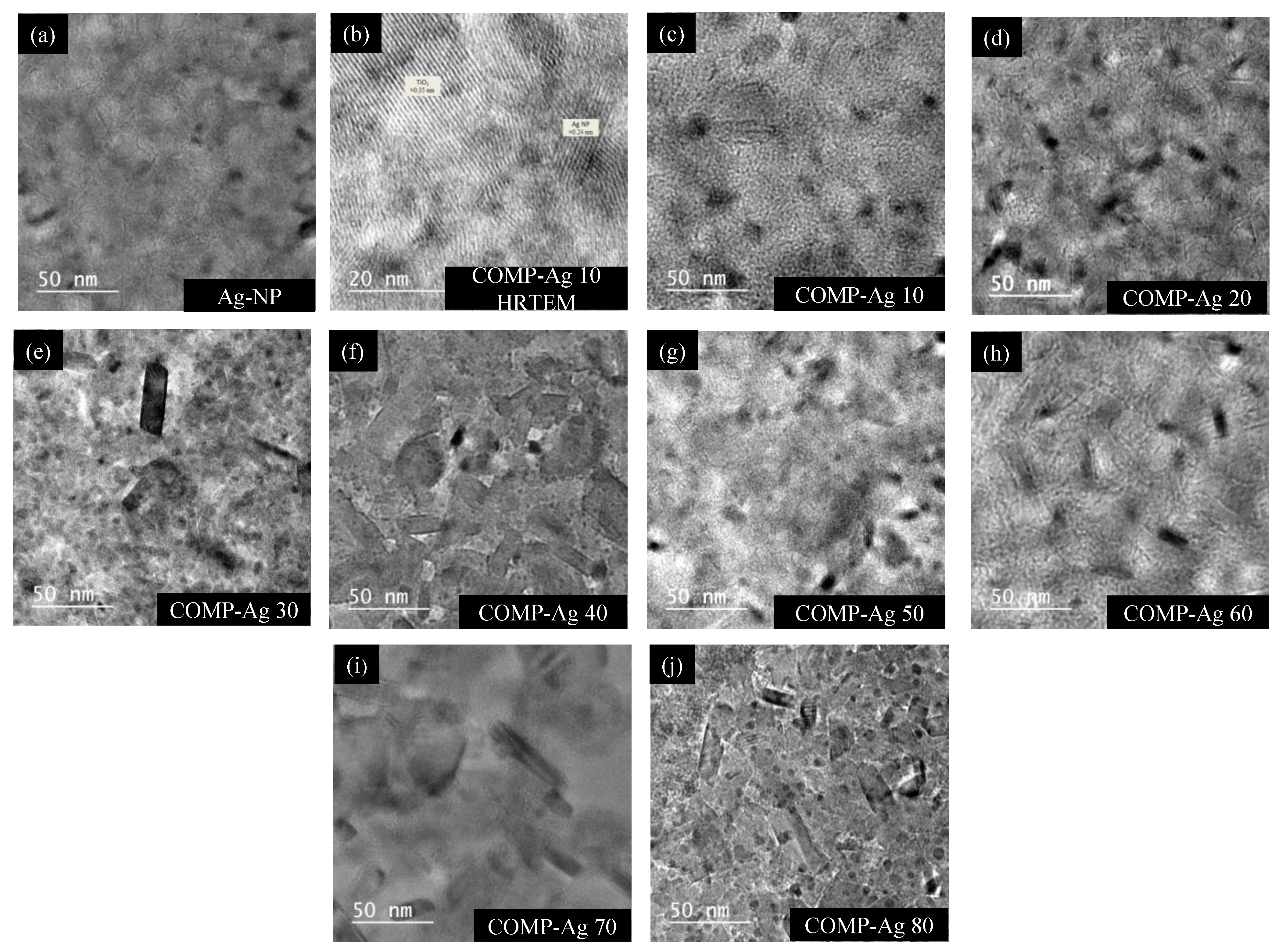 Catalysts 03 00625 g003 1024