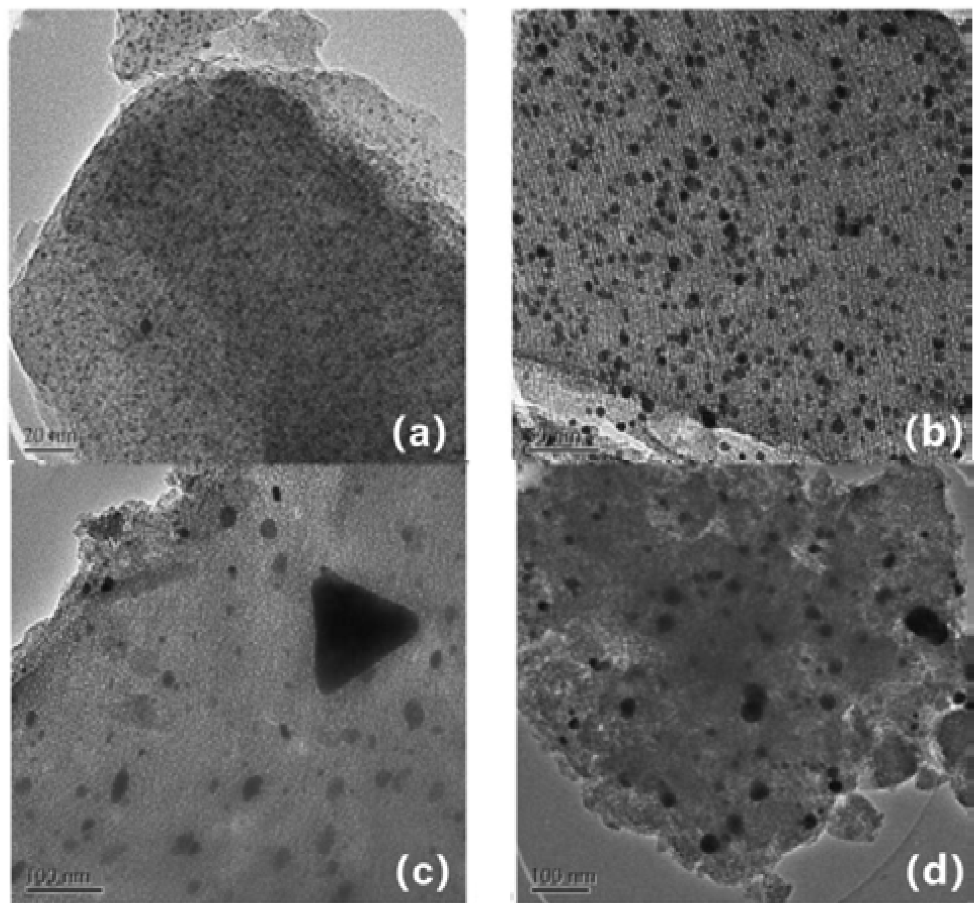 Catalysts 03 00774 g006 1024