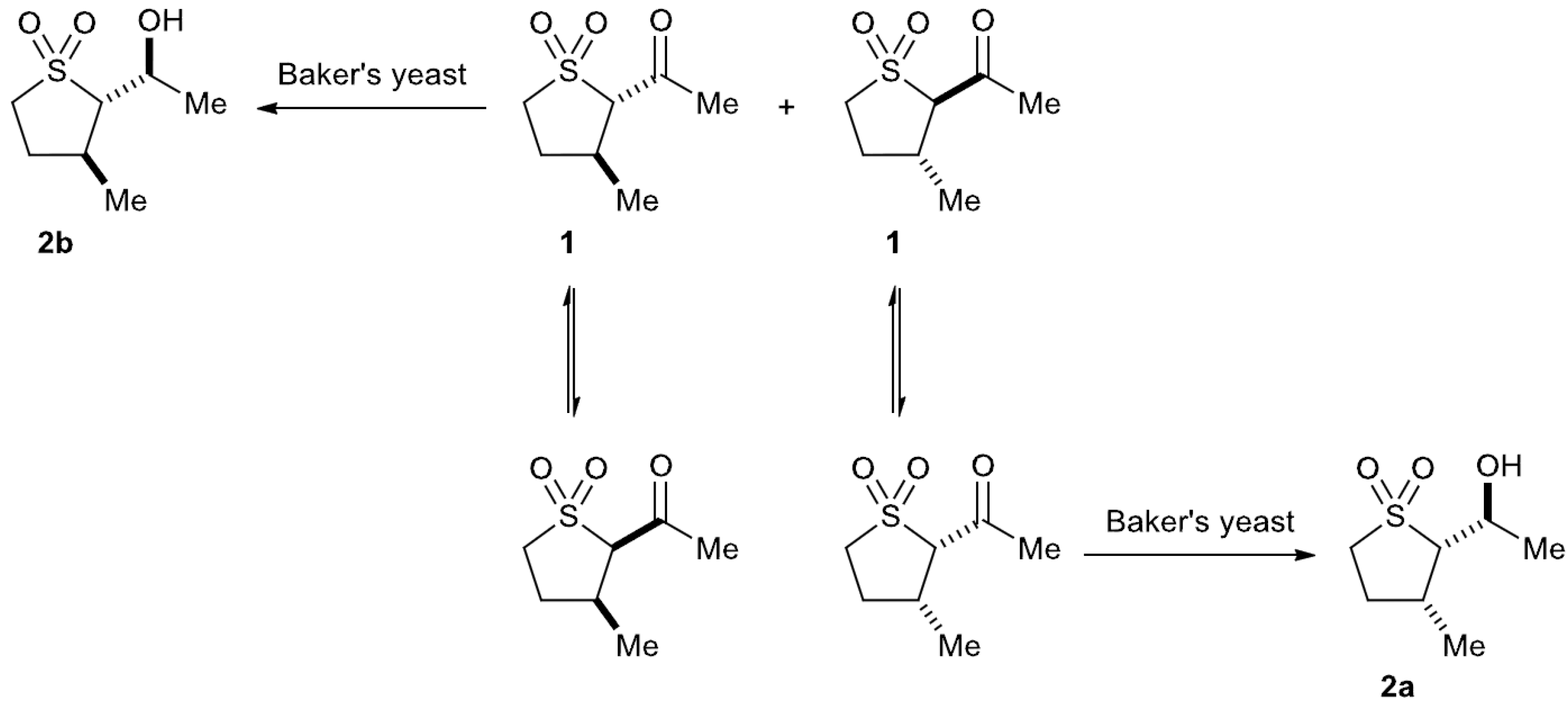 Catalysts Free FullText Baker’s Yeast Mediated Reduction of 2