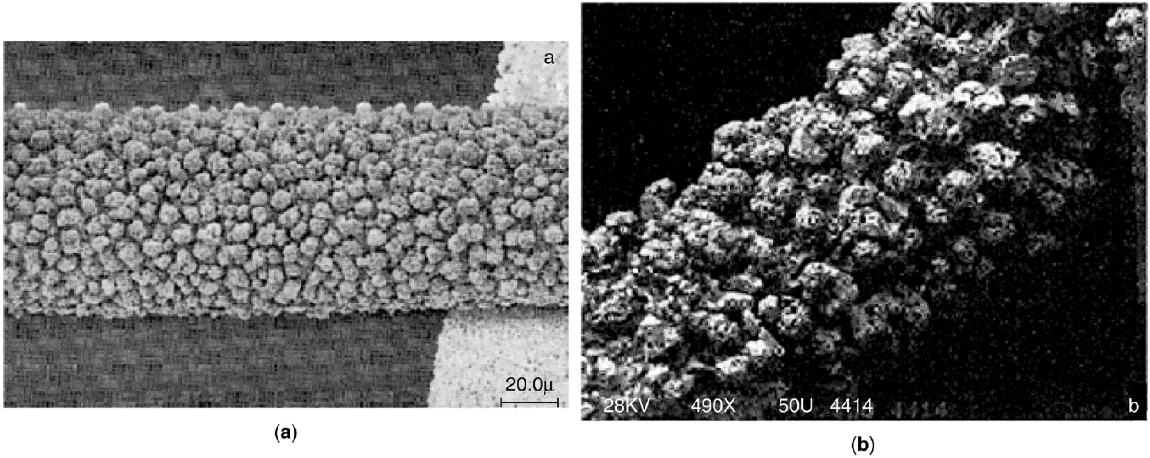 Catalysts 05 00145 g021