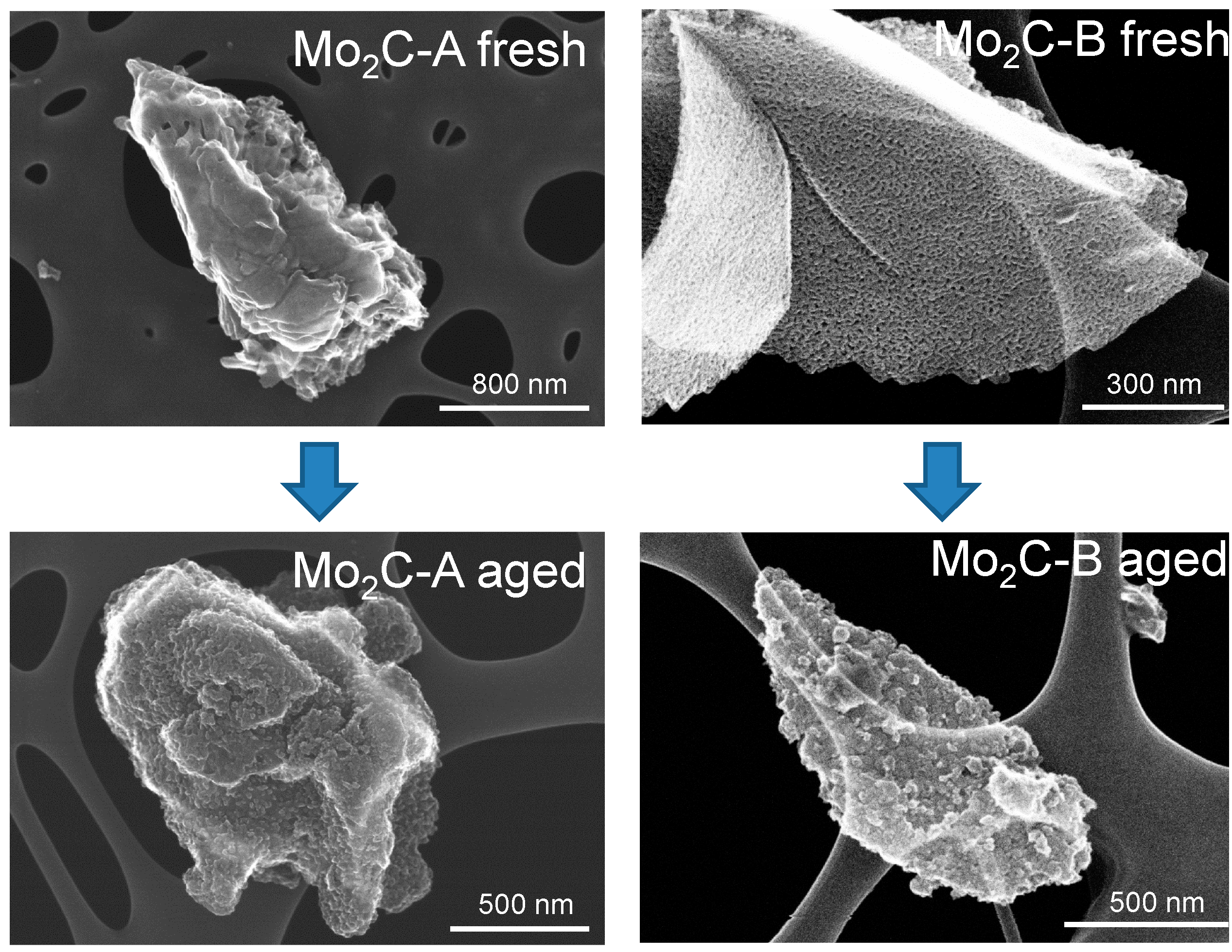 Catalysts 05 00406 g003