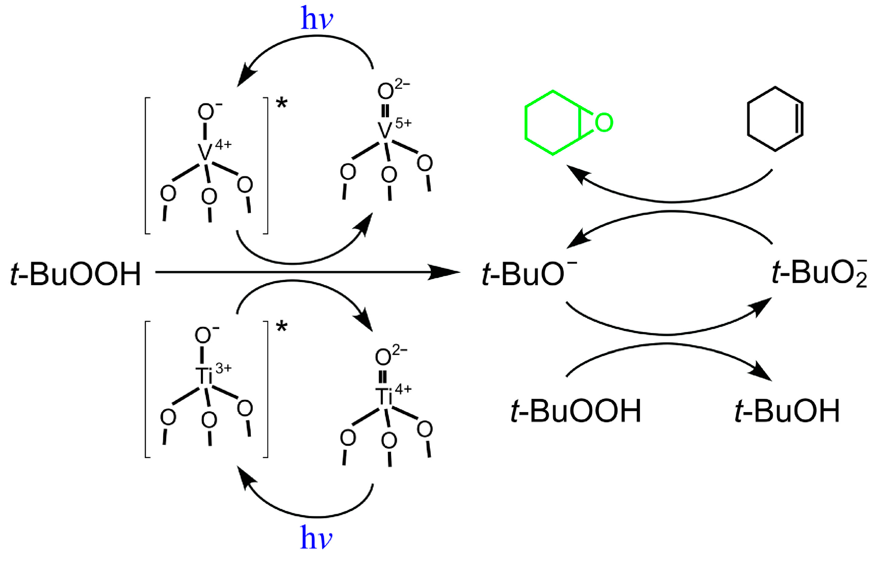 Catalysts 05 00518 g008 1024