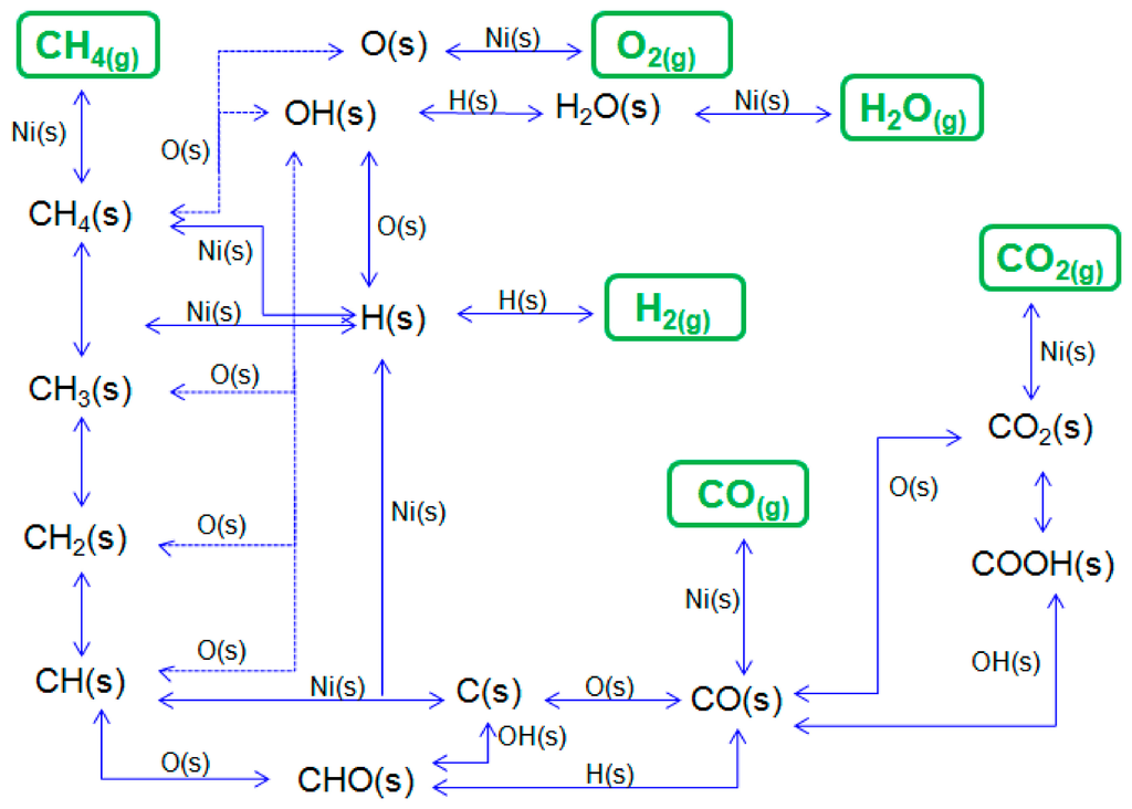 Catalysts Free FullText Surface Reaction of Steam and