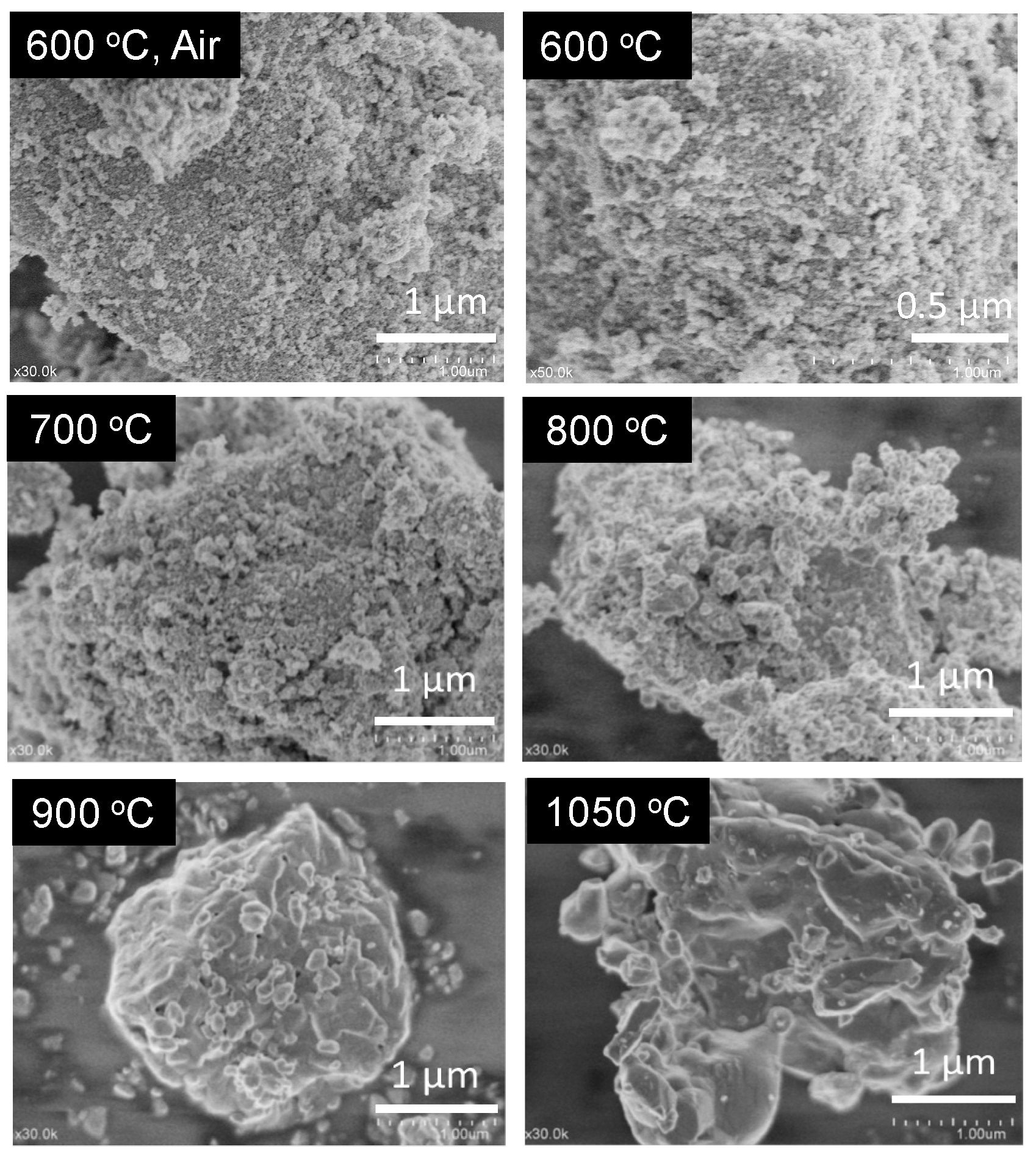Catalysts 05 01289 g002 1024