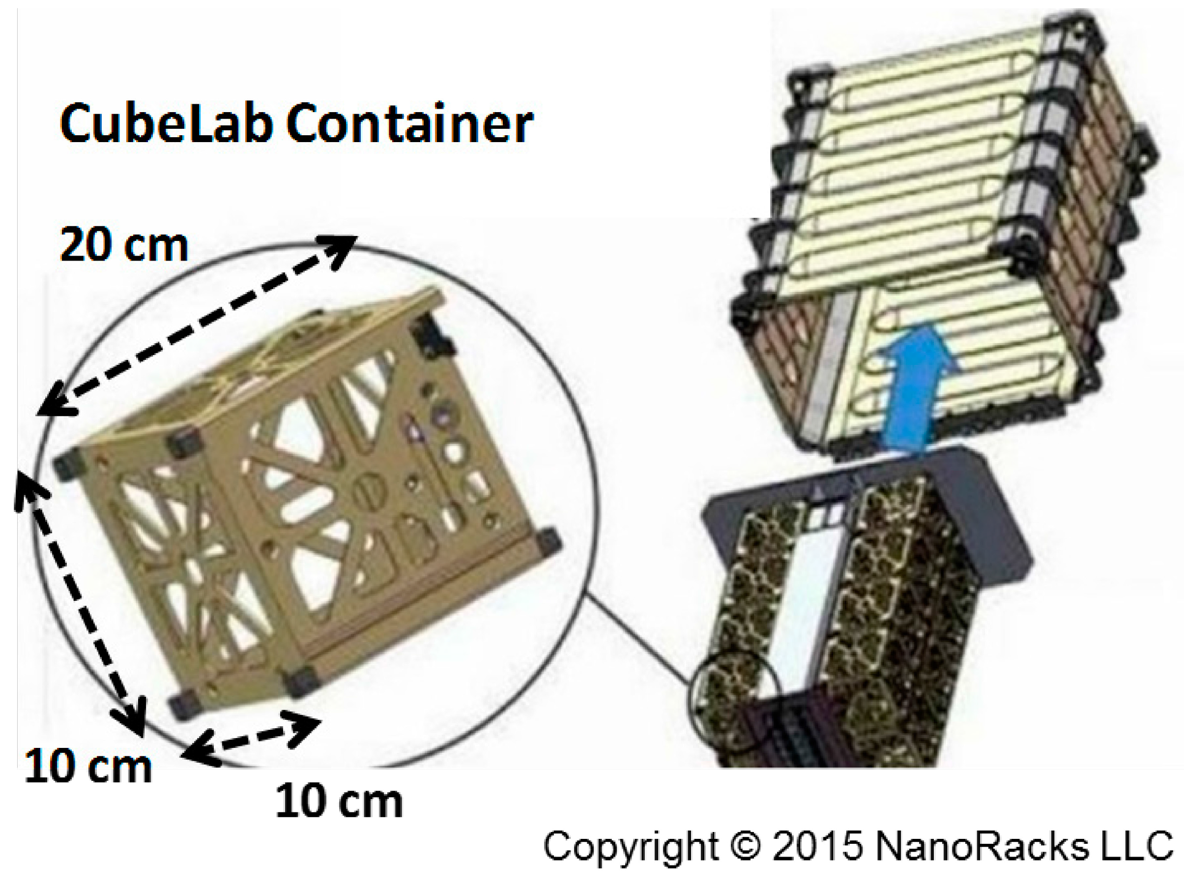 Catalysts 05 01306 g008