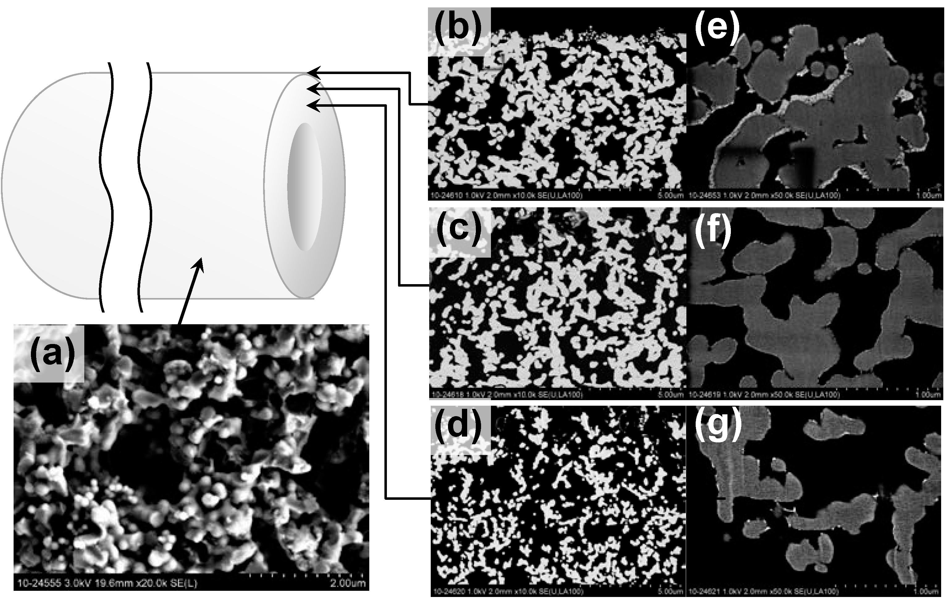 Catalysts 05 01498 g001