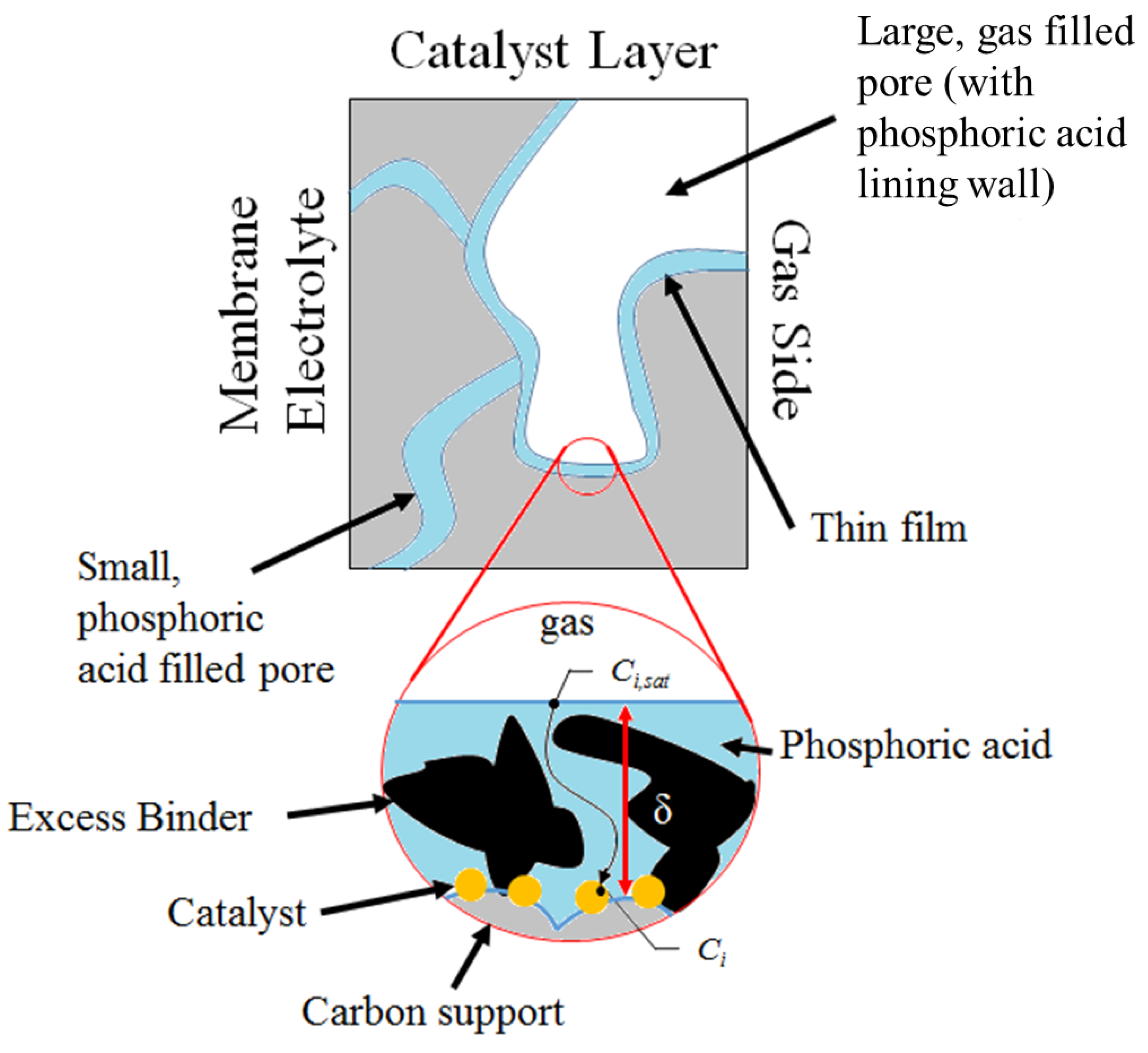Catalysts Free Full Text Application Of A Coated Film Catalyst Layer Model To A High Temperature Polymer Electrolyte Membrane Fuel Cell With Low Catalyst Loading Produced By Reactive Spray Deposition Technology