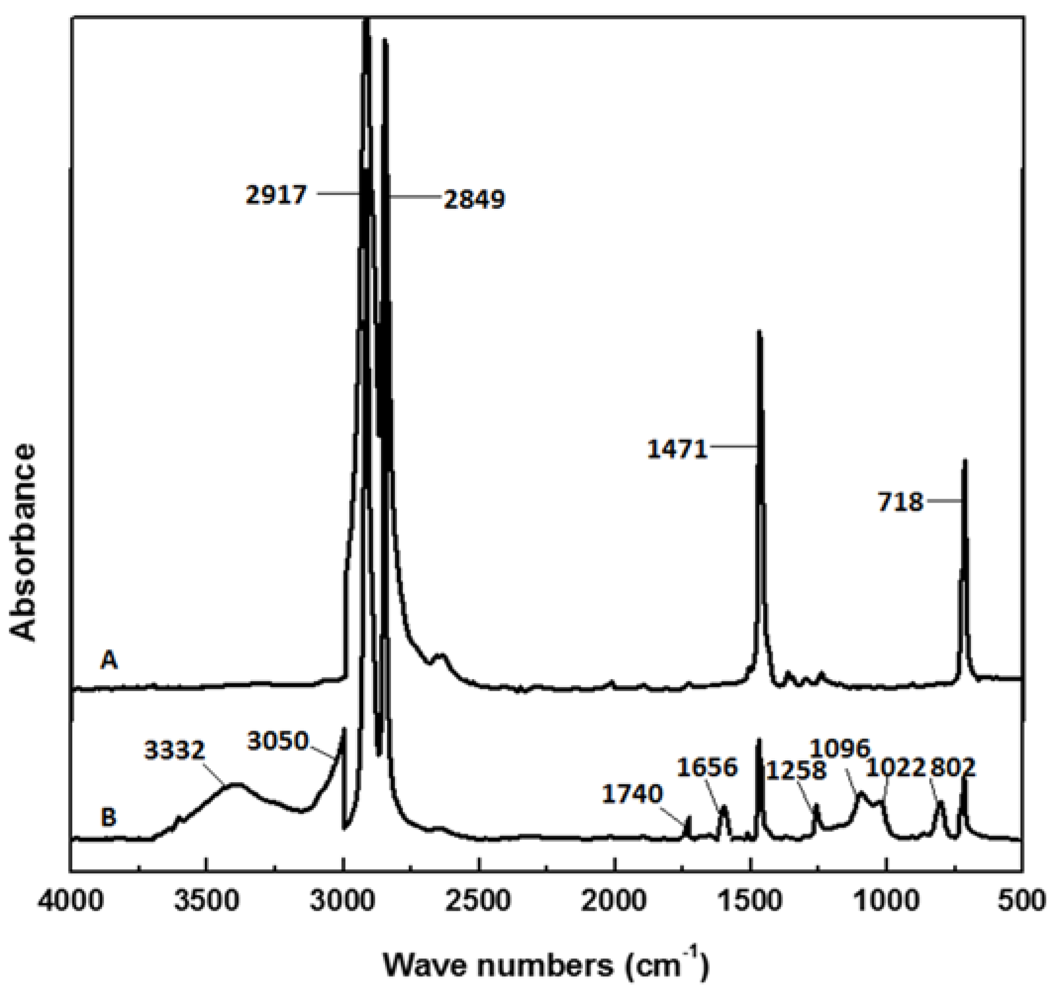 Figure 4.FT-IR spectra of ethylene homopolymer (A, run 9 in Table 1) and et...