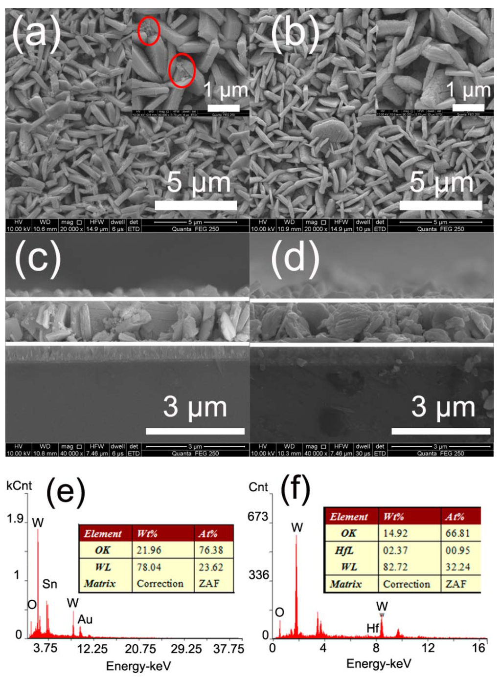 Catalysts Free FullText Effect of Surface Passivation on