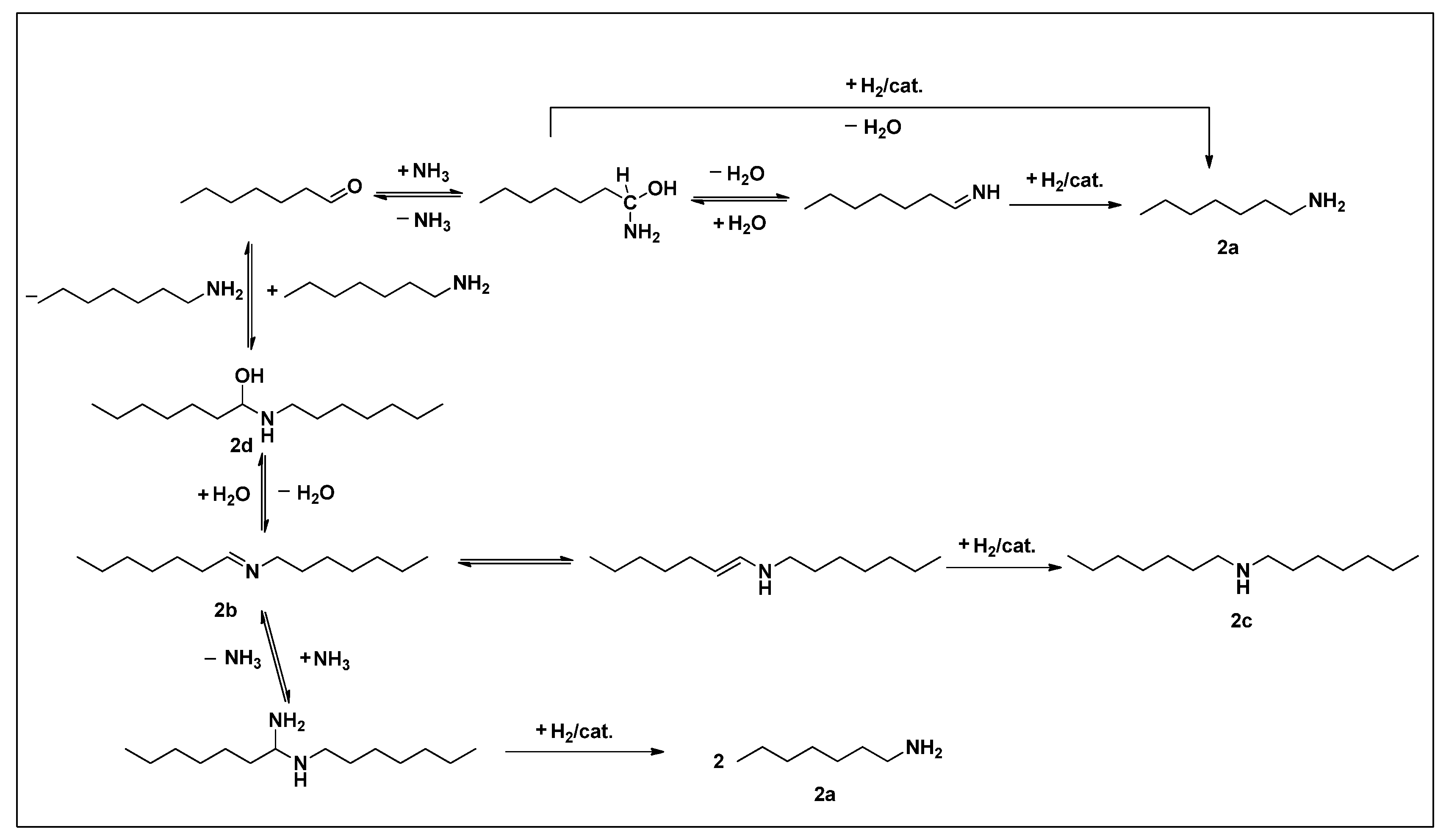 Catalysts 05 02258 g004