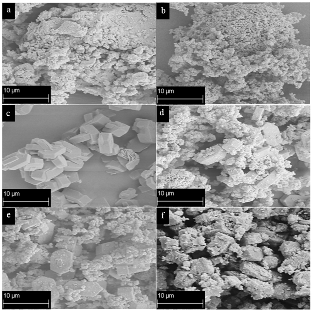 Catalysts Special Issue Zeolite Catalysis