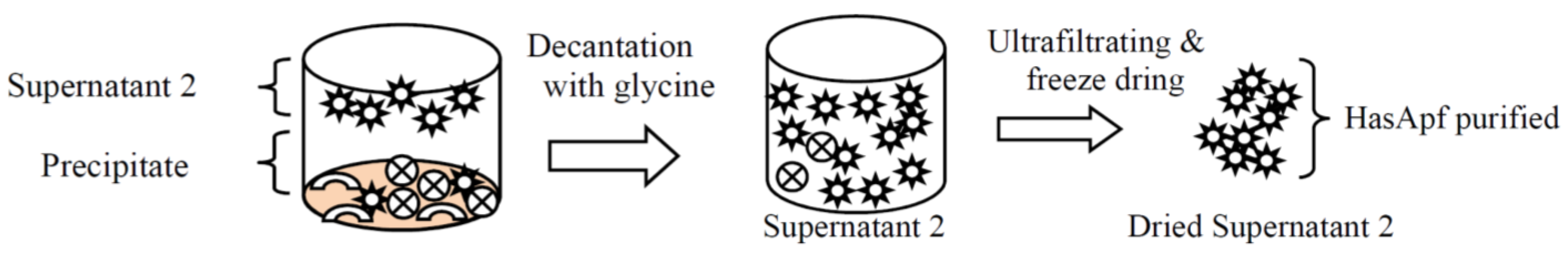 Catalysts 06 00038 g007