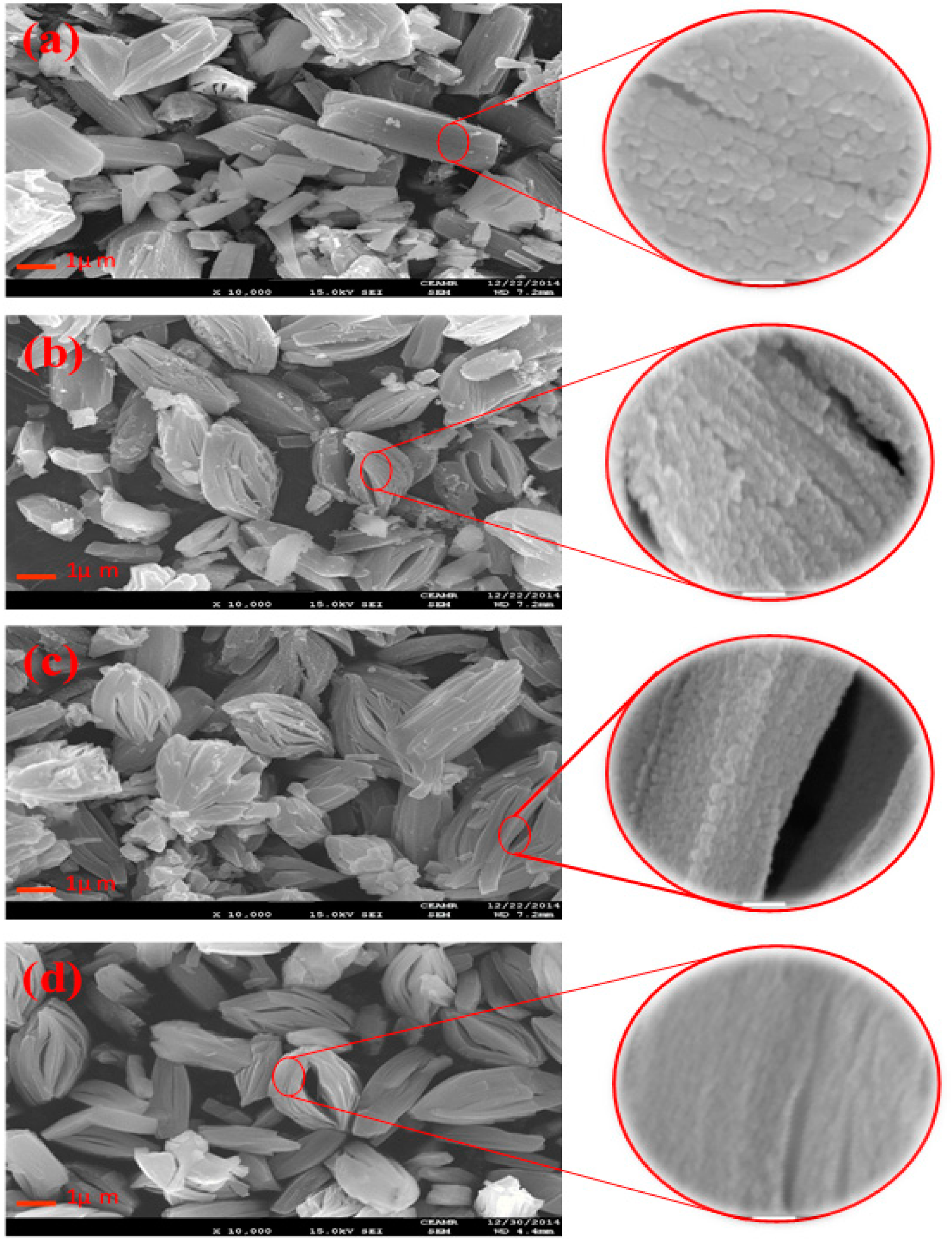 Catalysts 06 00070 g004