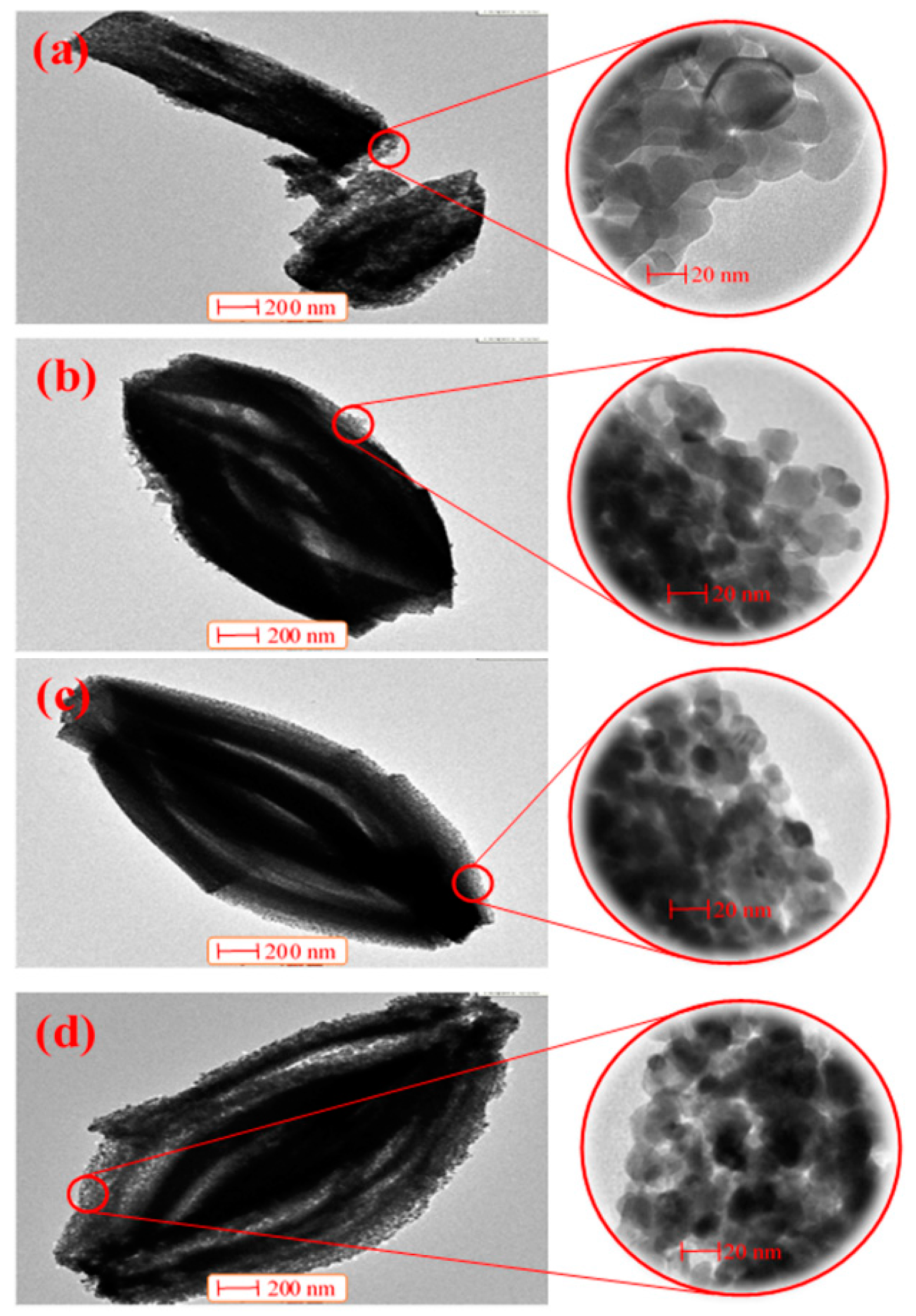 Catalysts 06 00070 g005