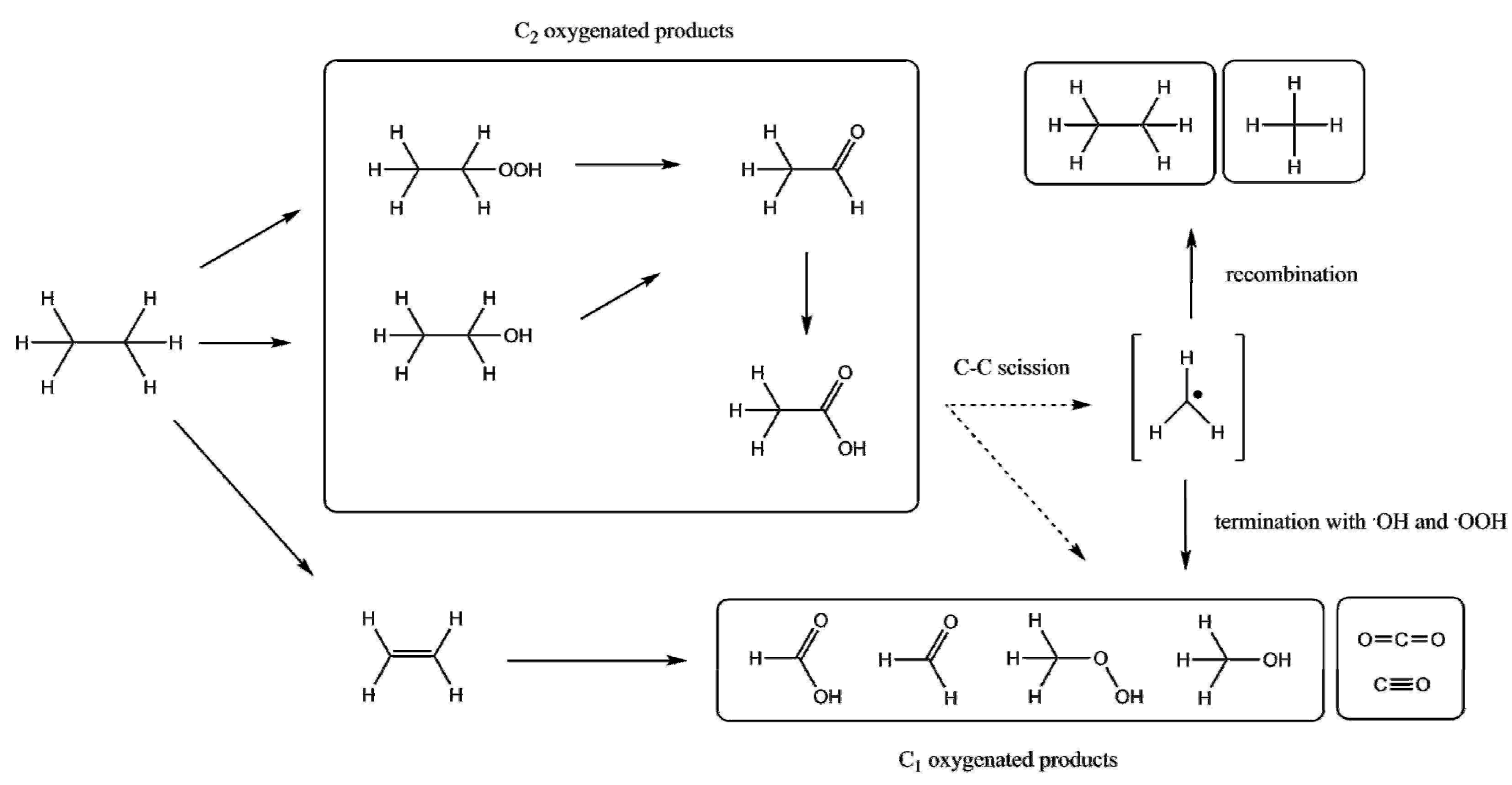Catalysts 06 00071 sch005