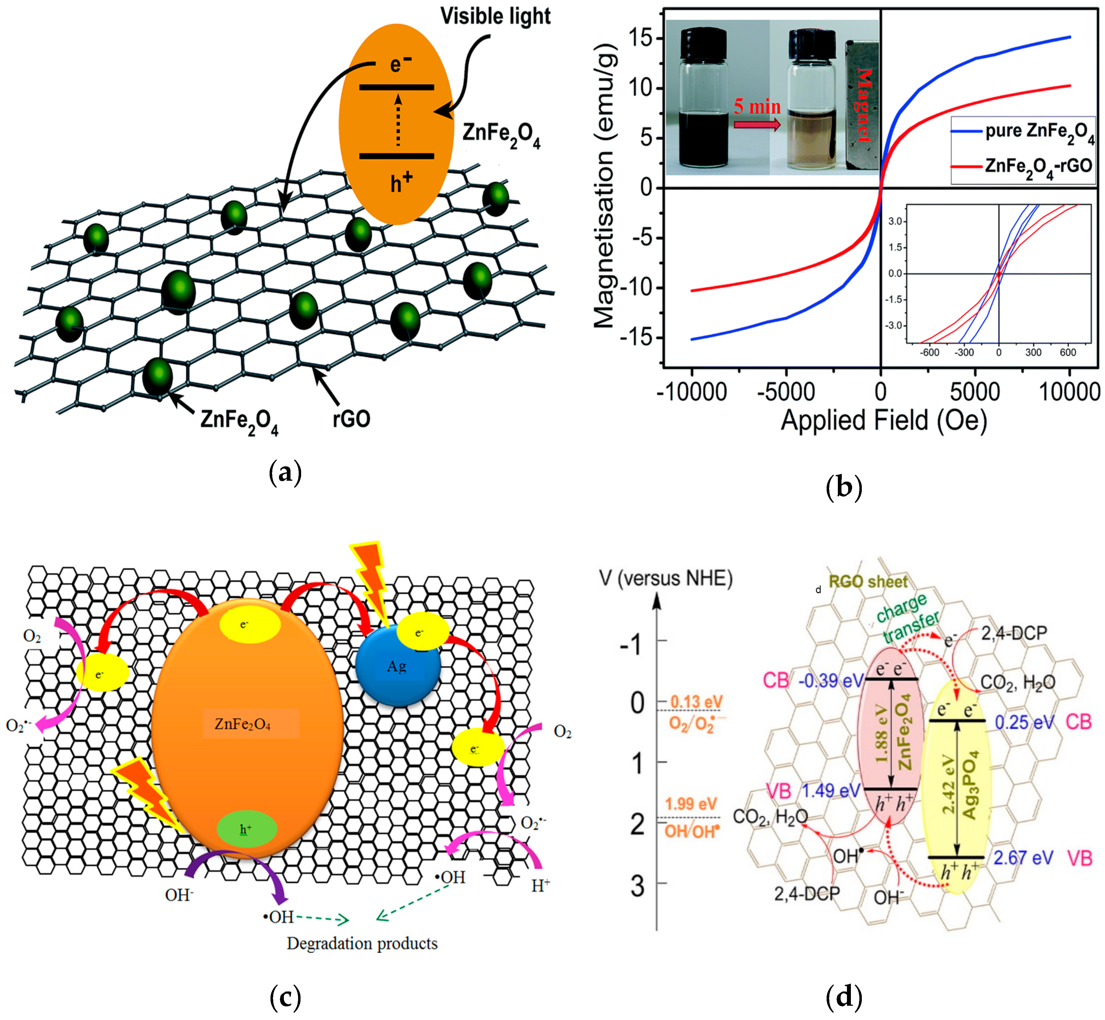 Catalysts Free FullText Advances in Separable