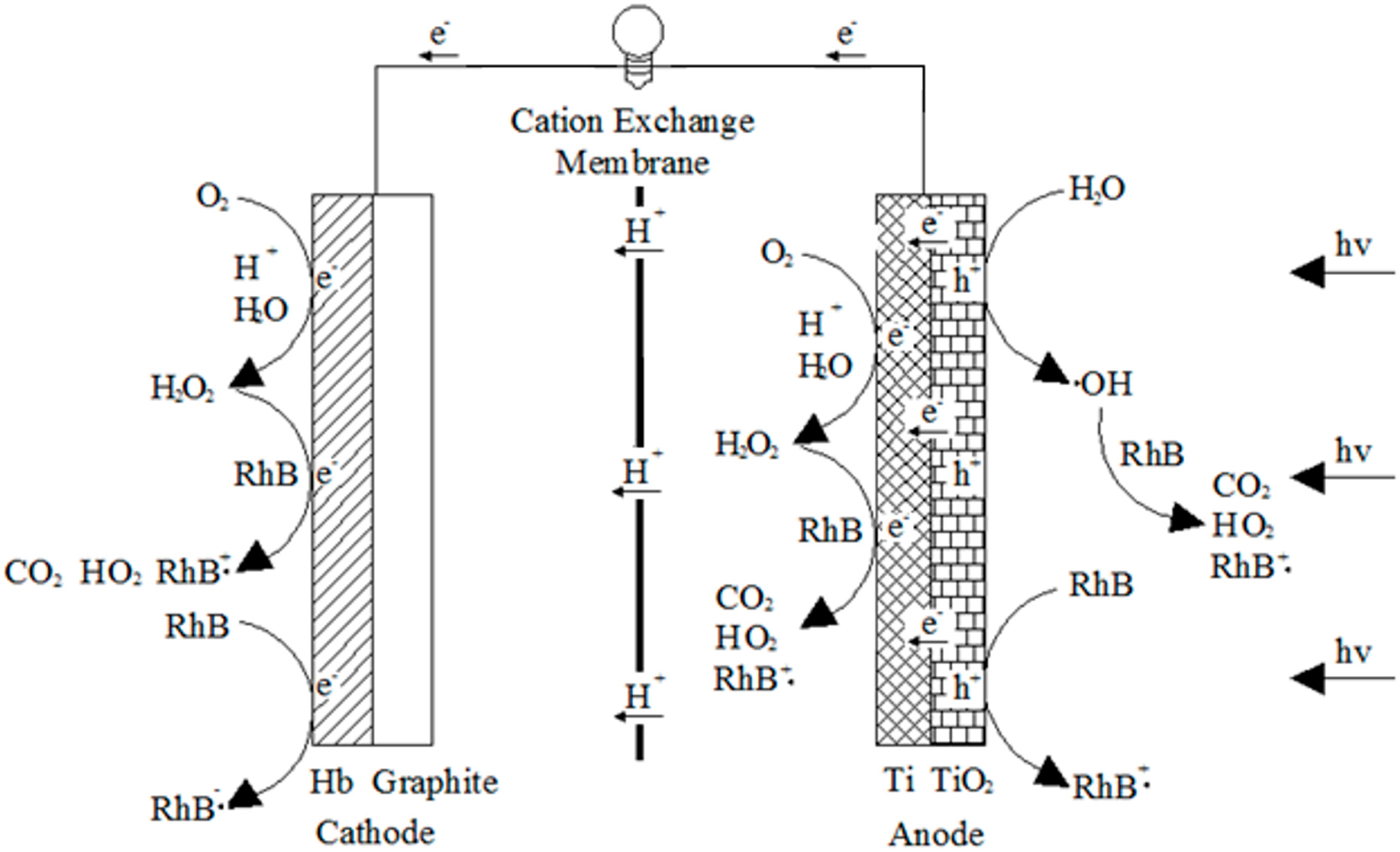 Catalysts 06 00114 g001