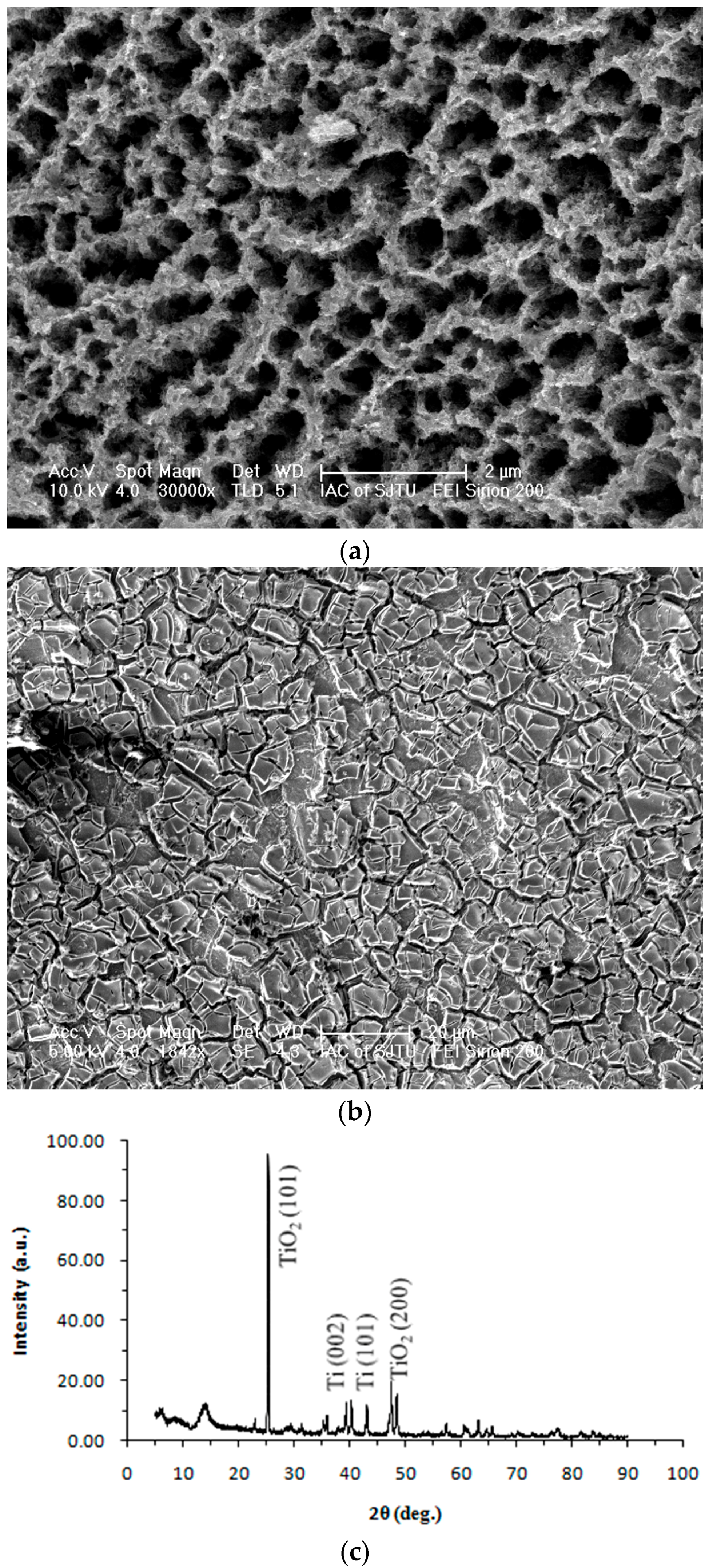 Catalysts 06 00114 g003