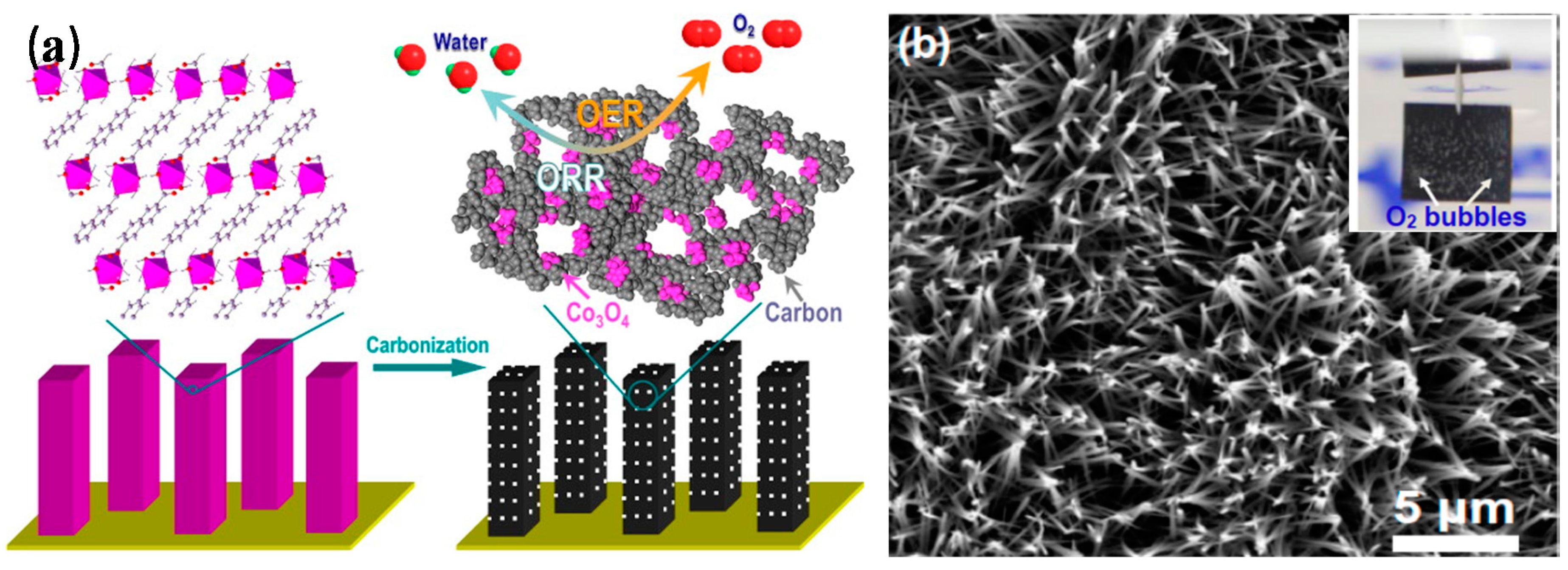 Catalysts 06 00116 g008