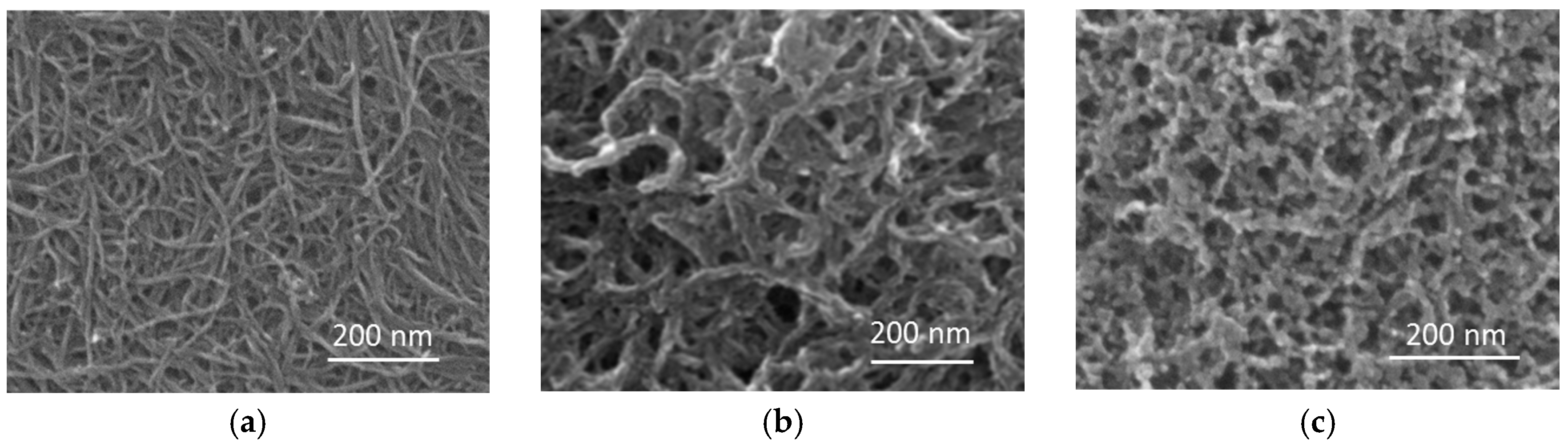 Catalysts 06 00117 g001
