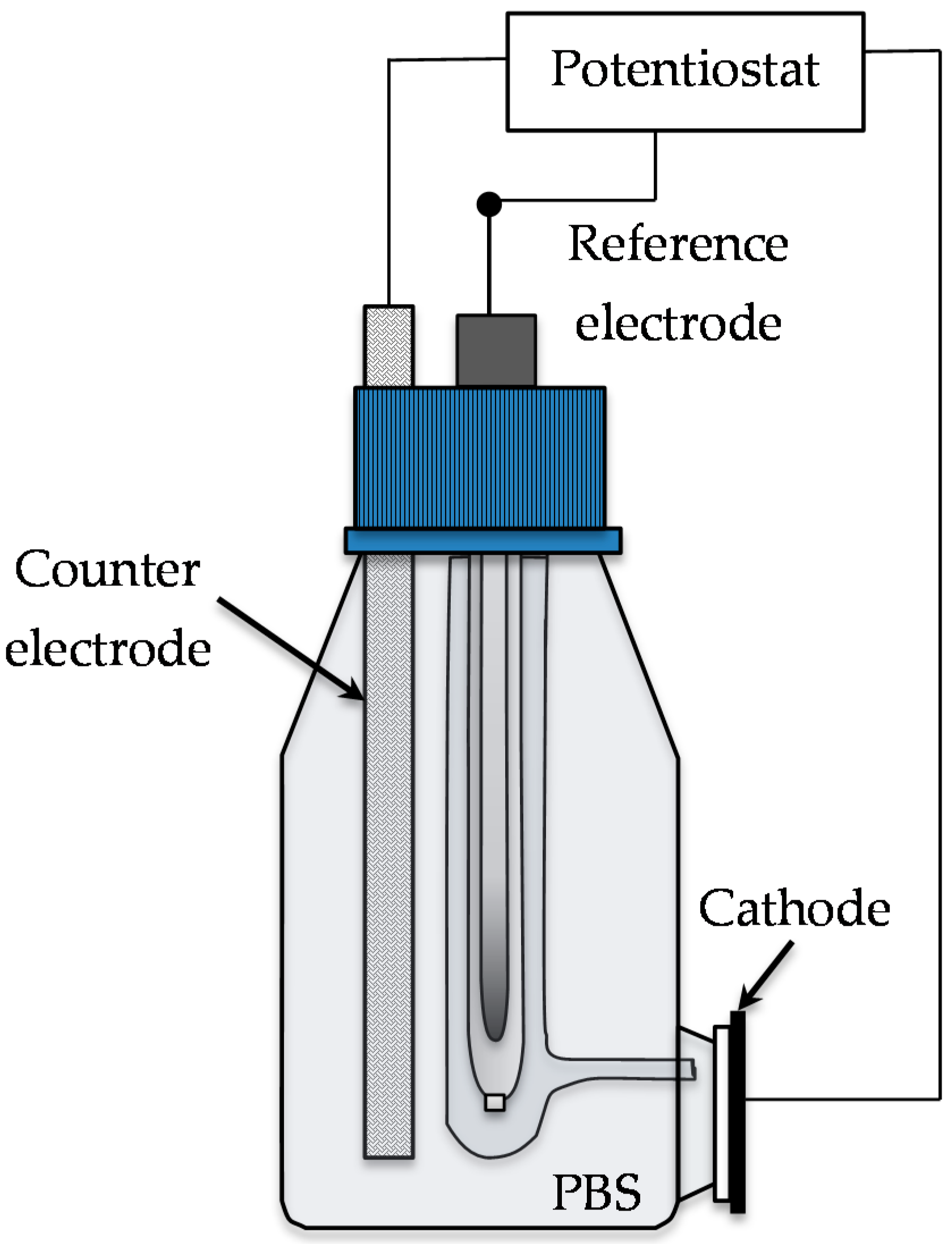 Catalysts 06 00127 g007