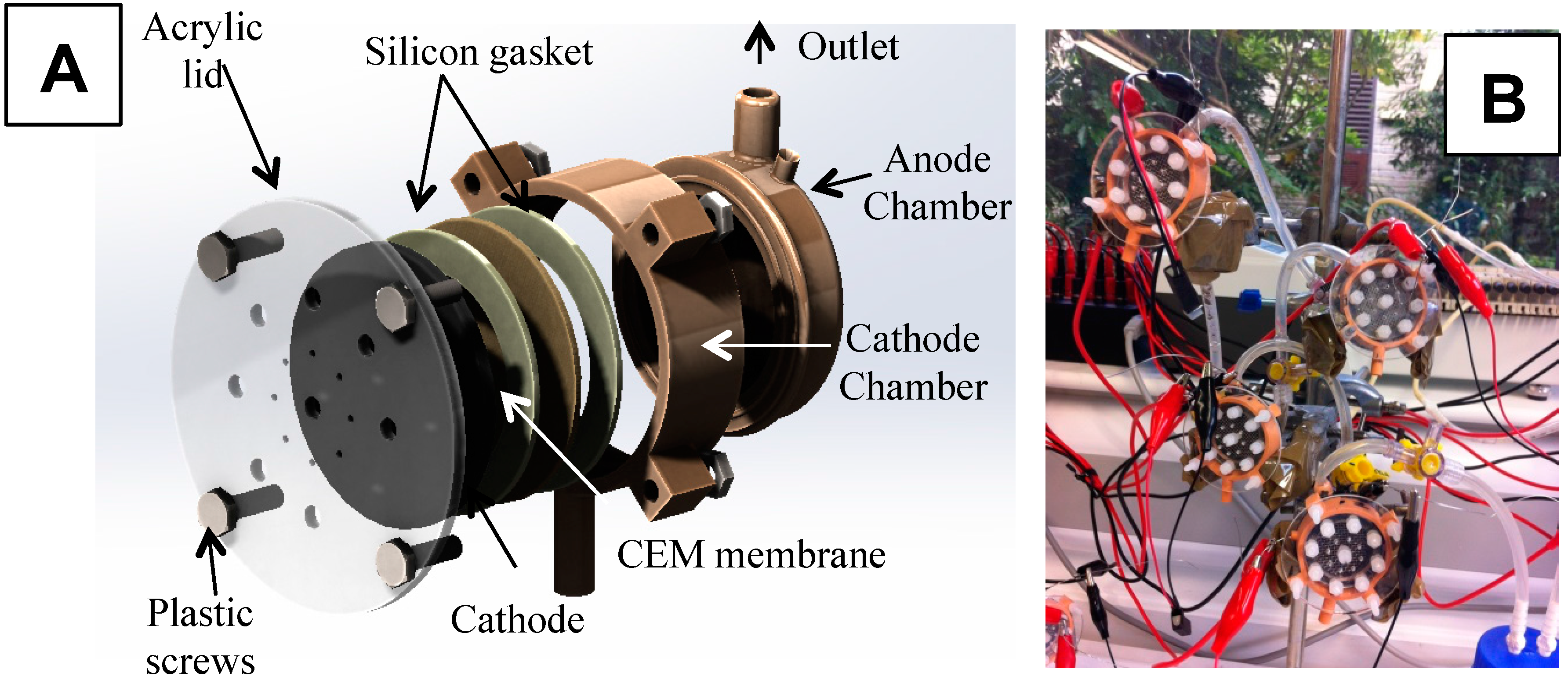 Catalysts 06 00127 g008
