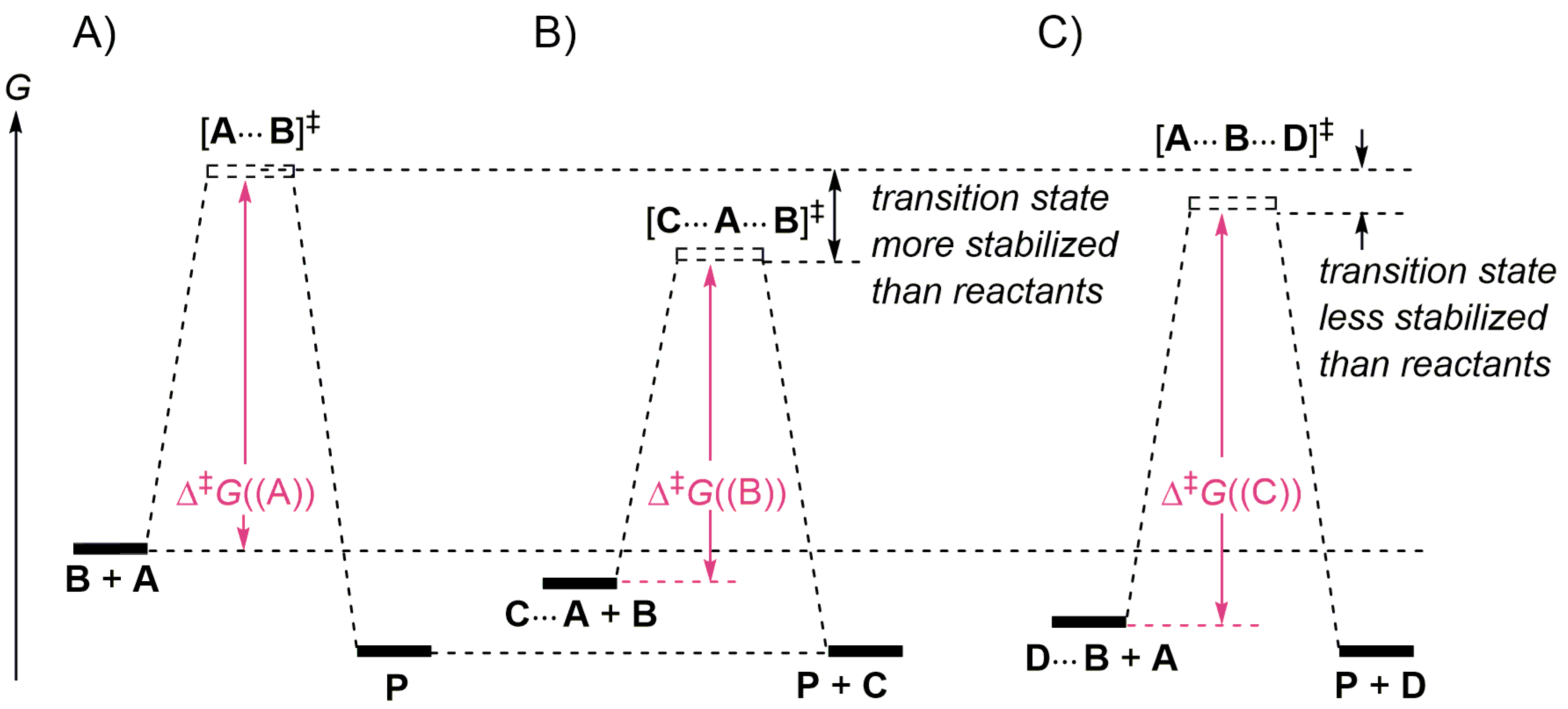 31 Label The Following Reaction Energy Diagram For A Catalyzed And An Uncatalyzed Process Labels Design Ideas 2020
