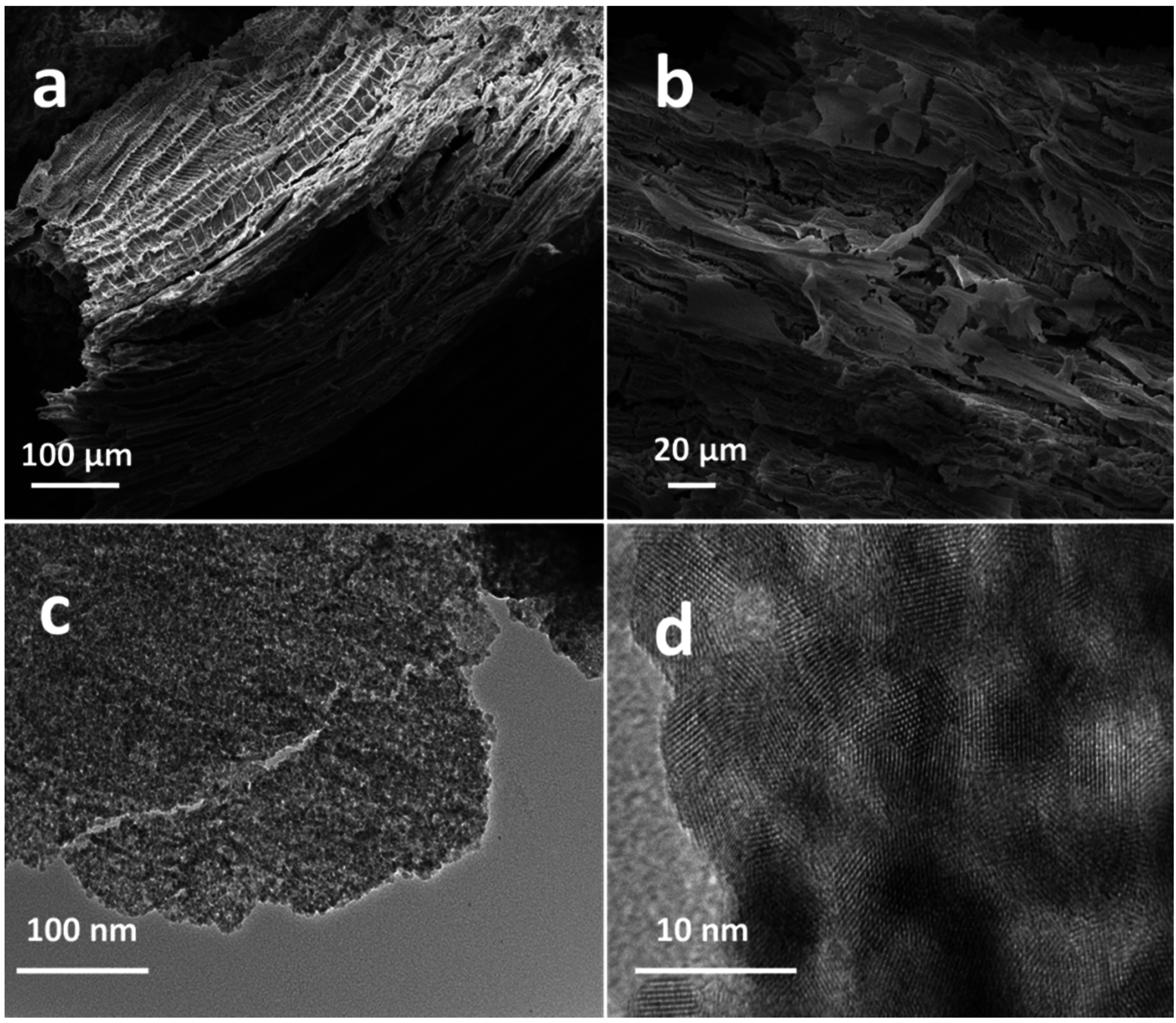 Catalysts 06 00135 g003