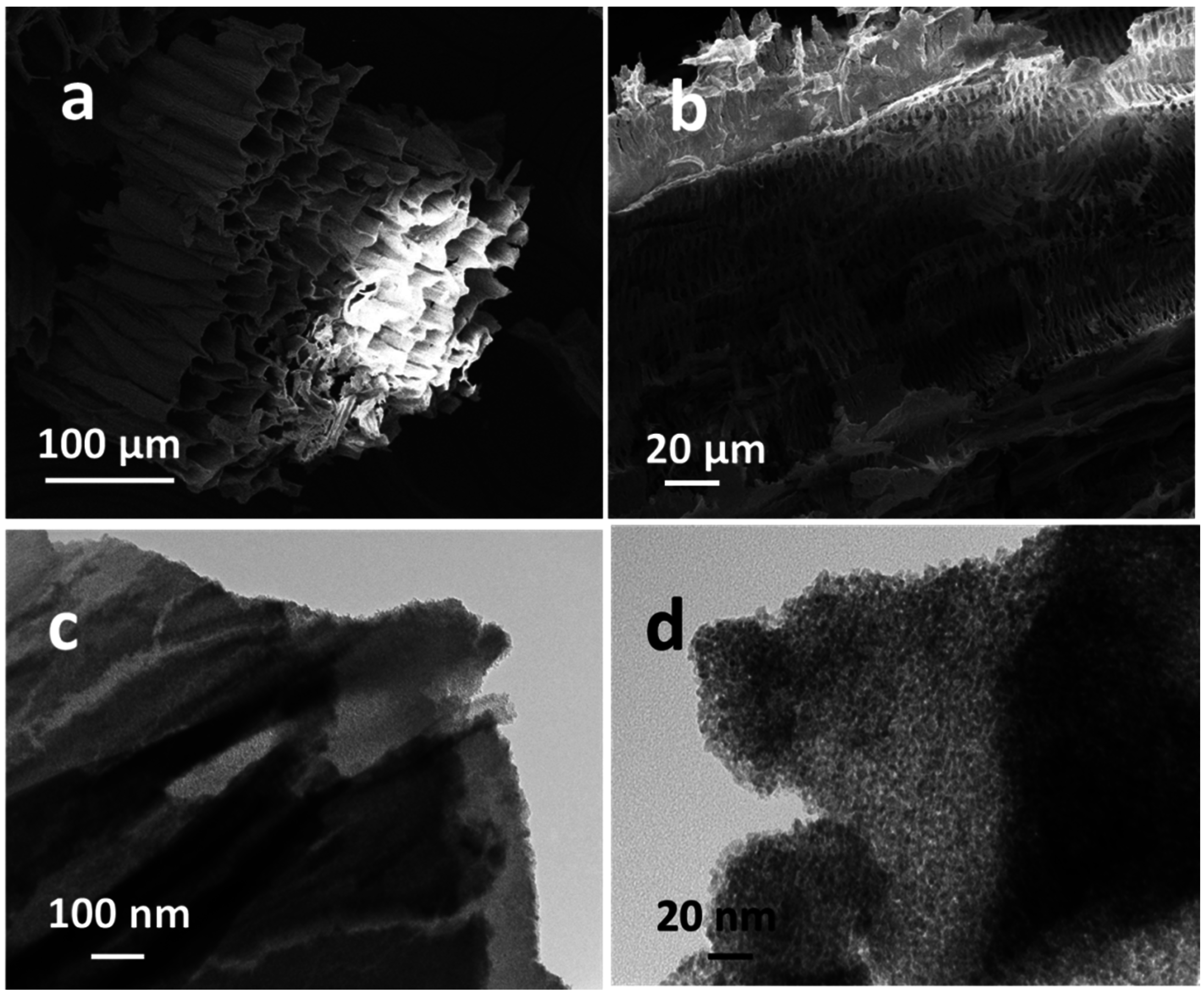 Catalysts 06 00135 g004