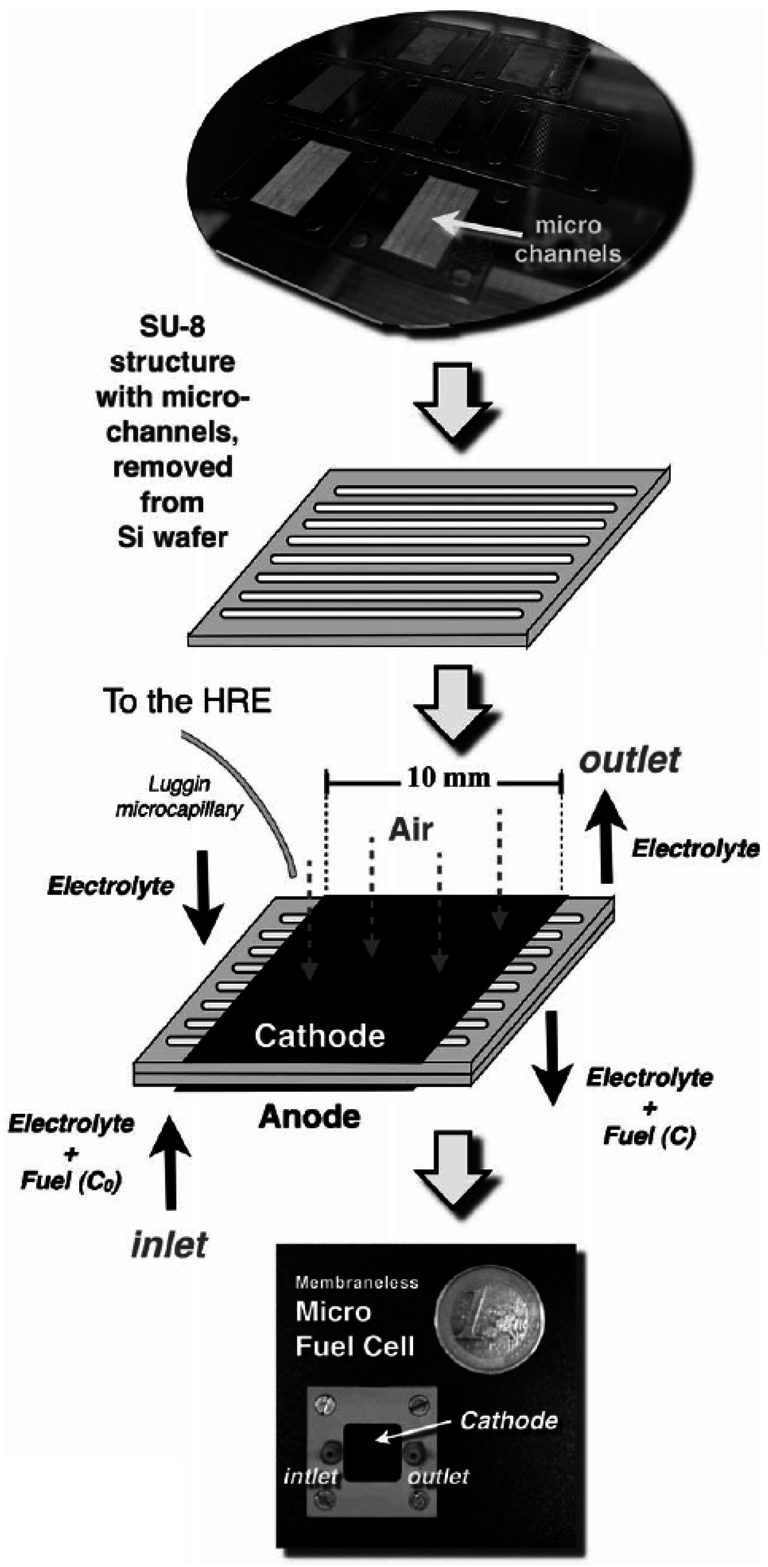 Catalysts 06 00145 g045