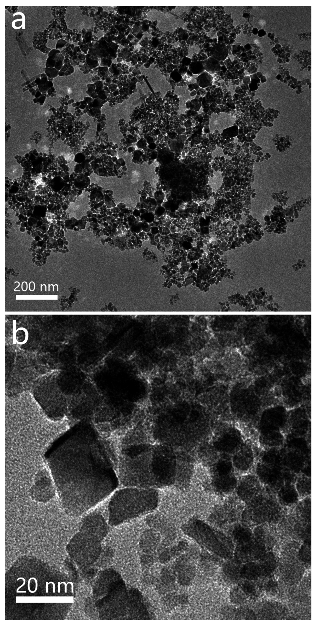 Catalysts 06 00146 g001