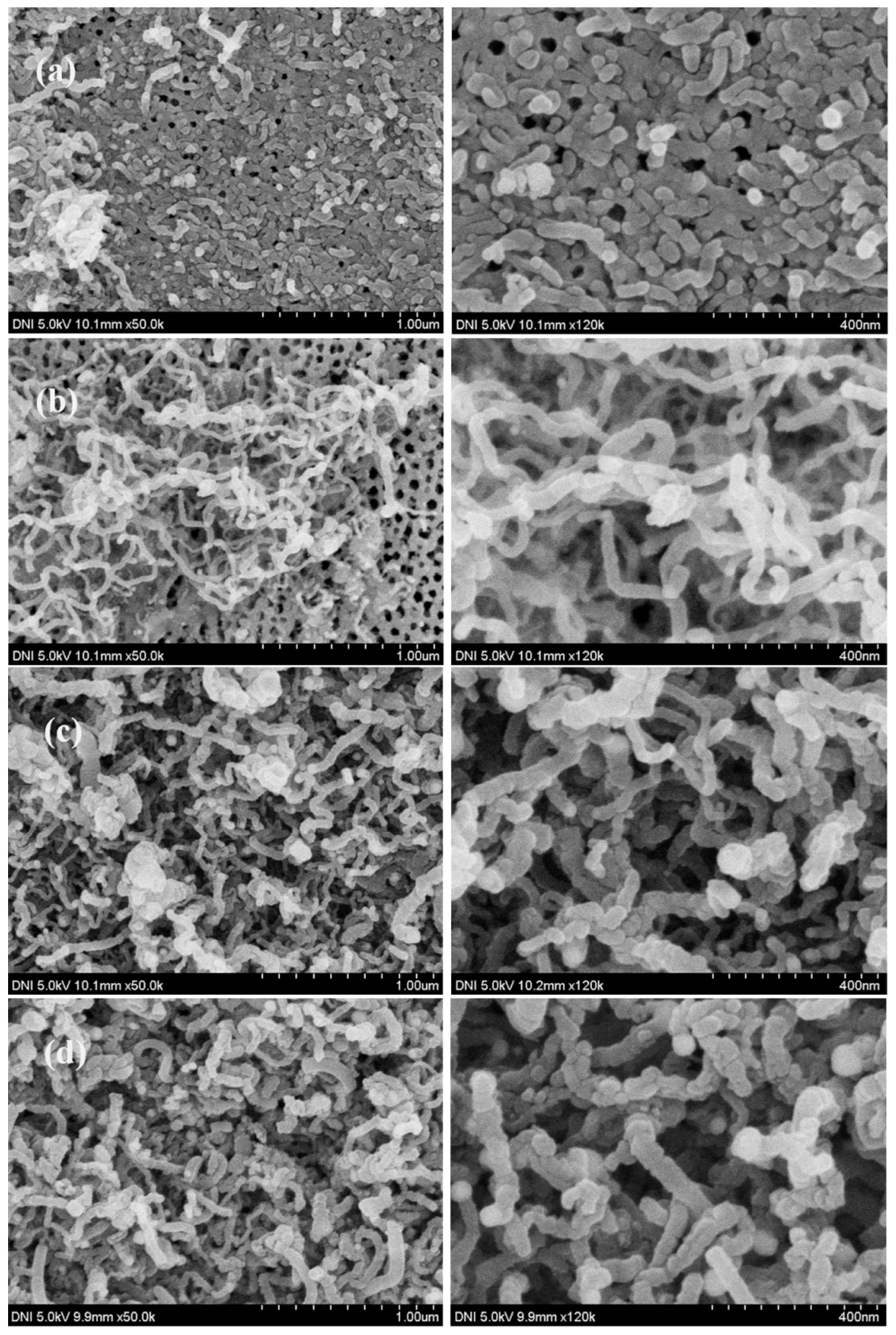 Catalysts 06 00154 g008