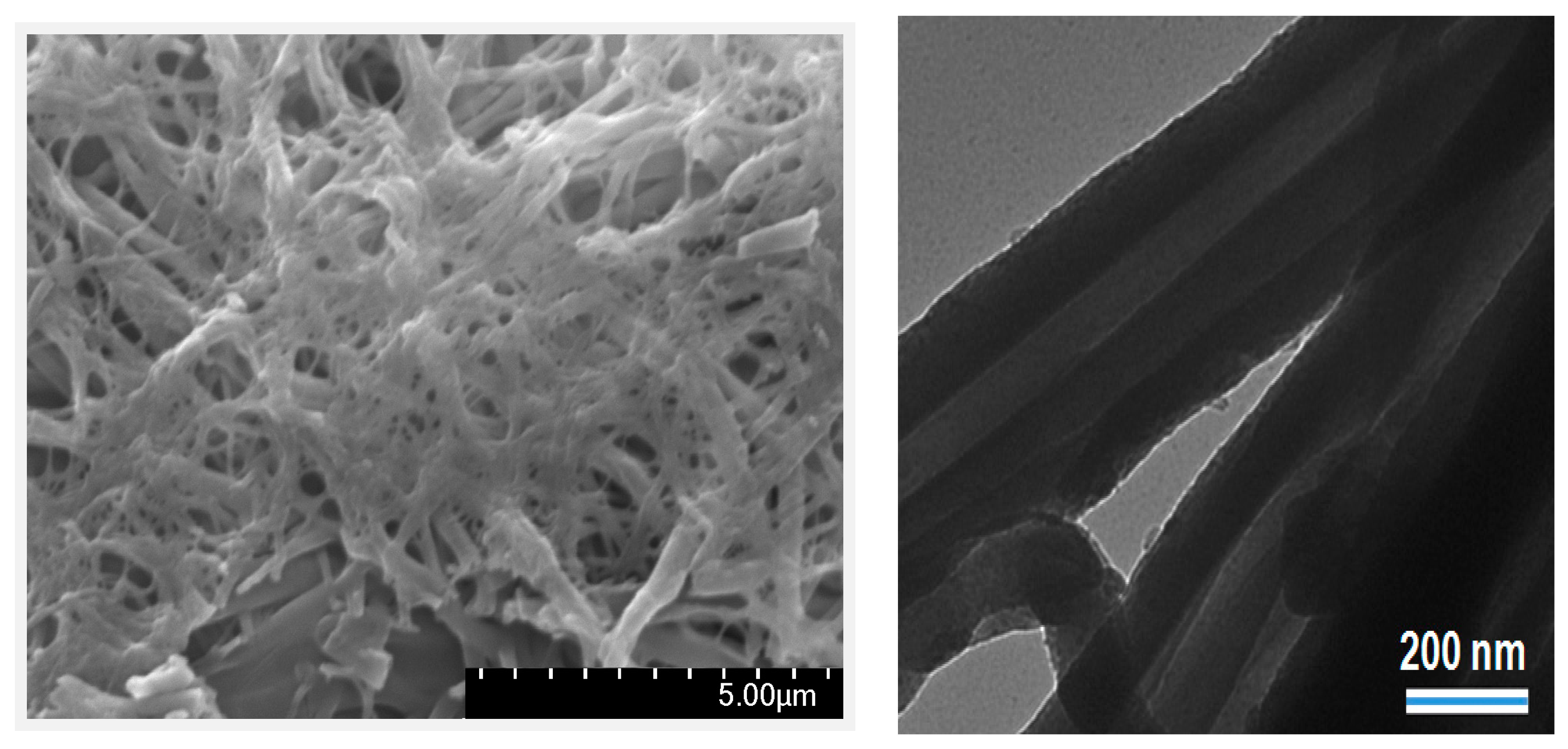Catalysts 06 00161 g001