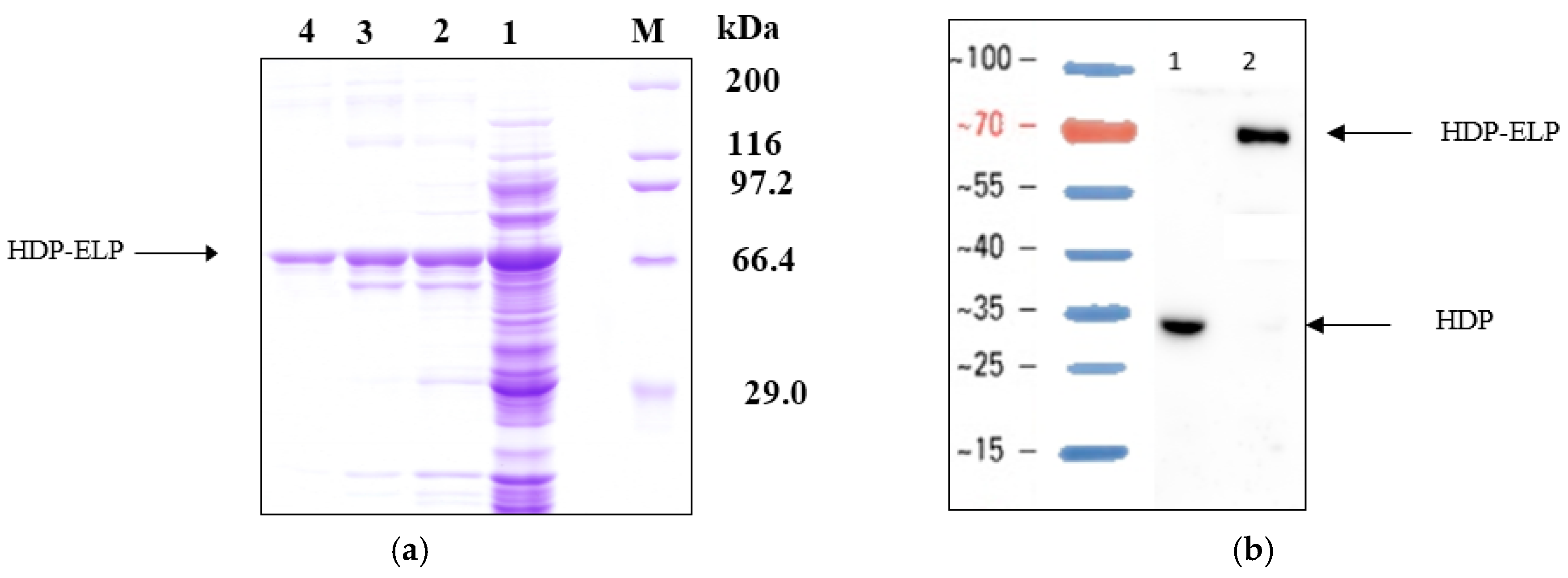 Catalysts 06 00166 g001 550