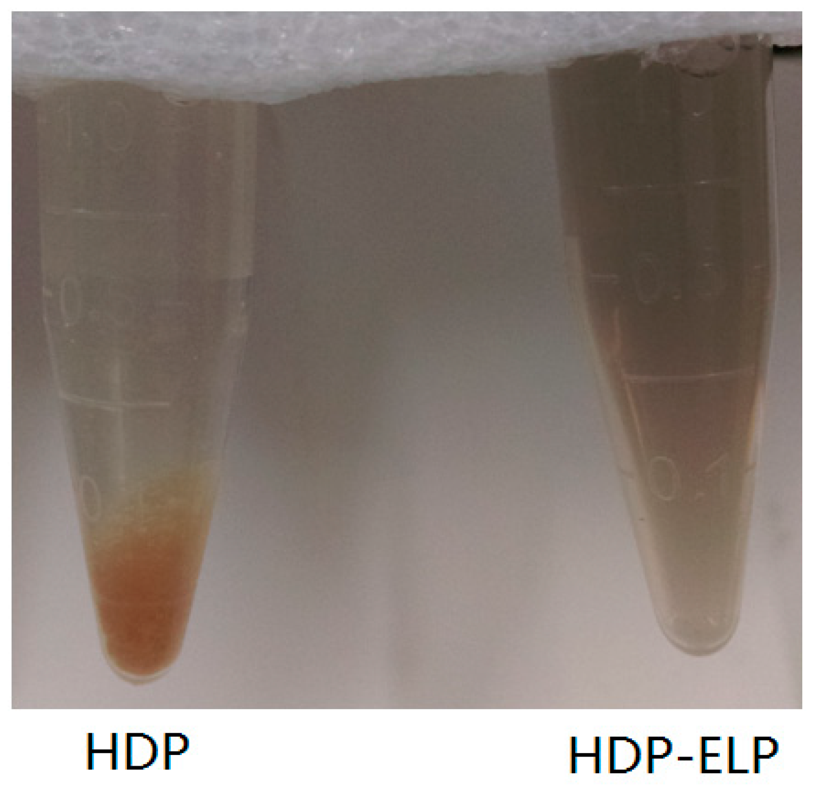 Catalysts 06 00166 g003 550