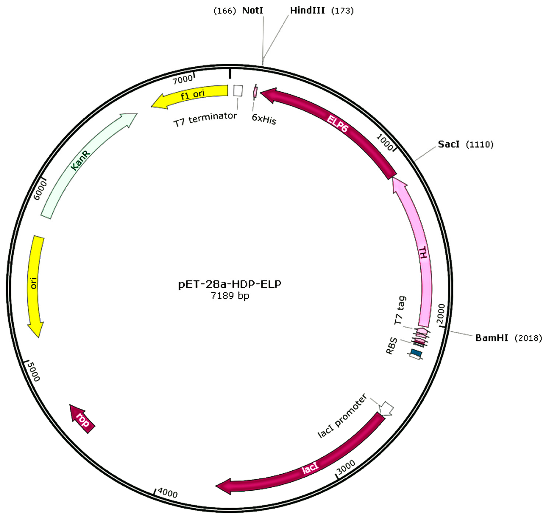 Catalysts 06 00166 g006 550