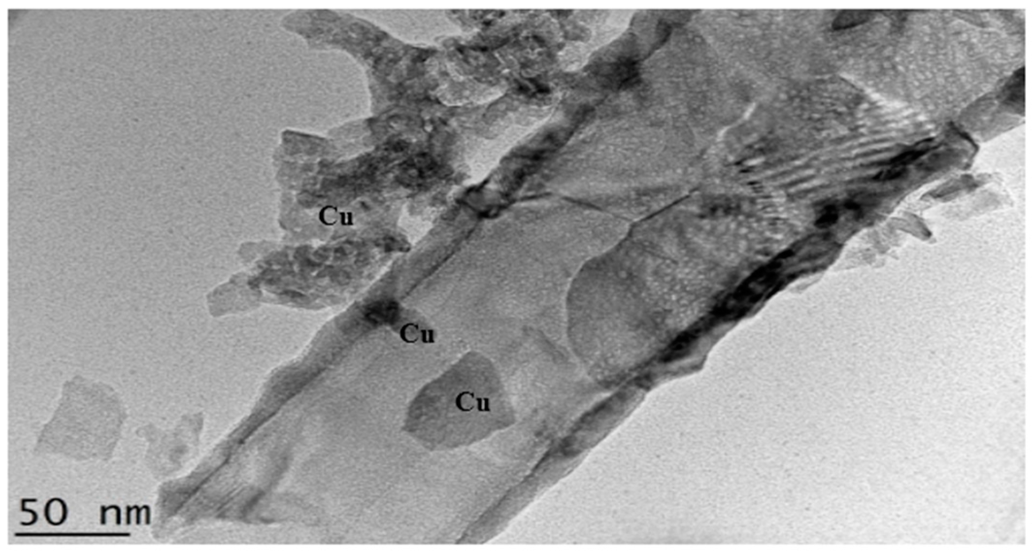 Catalysts 06 00167 g008