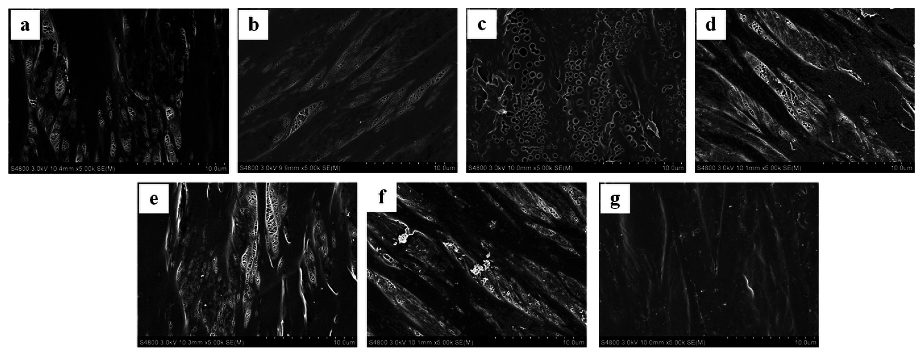 Catalysts 06 00174 g004