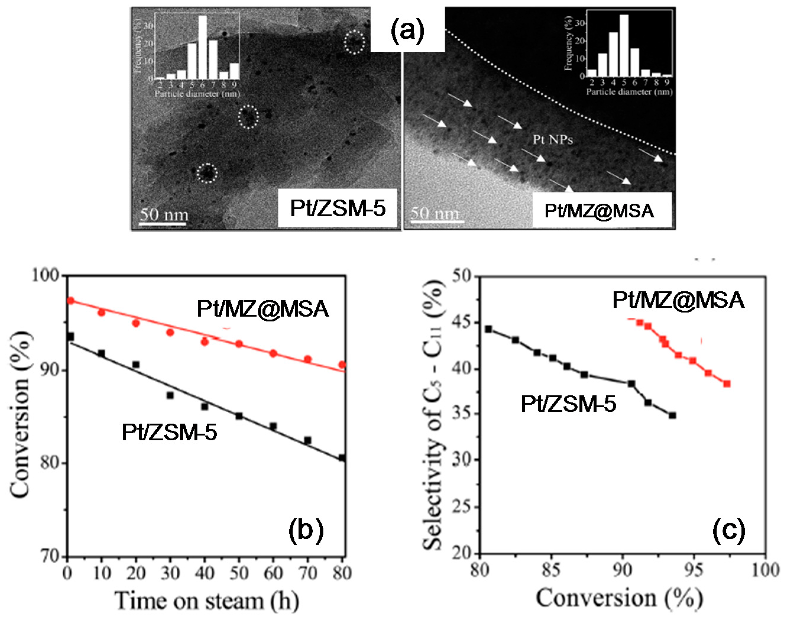 Catalysts 06 00183 g016