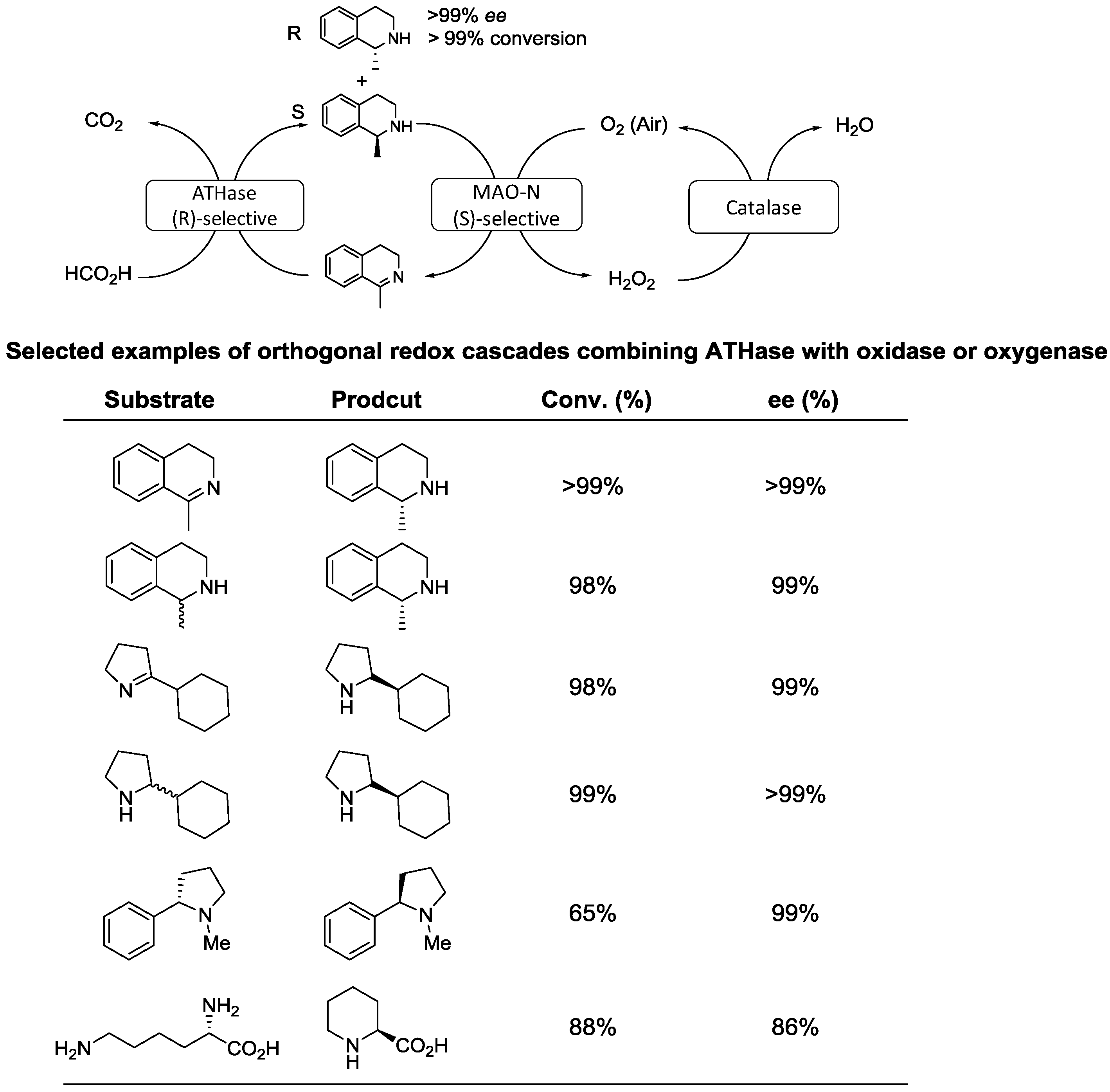 Catalysts 06 00194 sch013