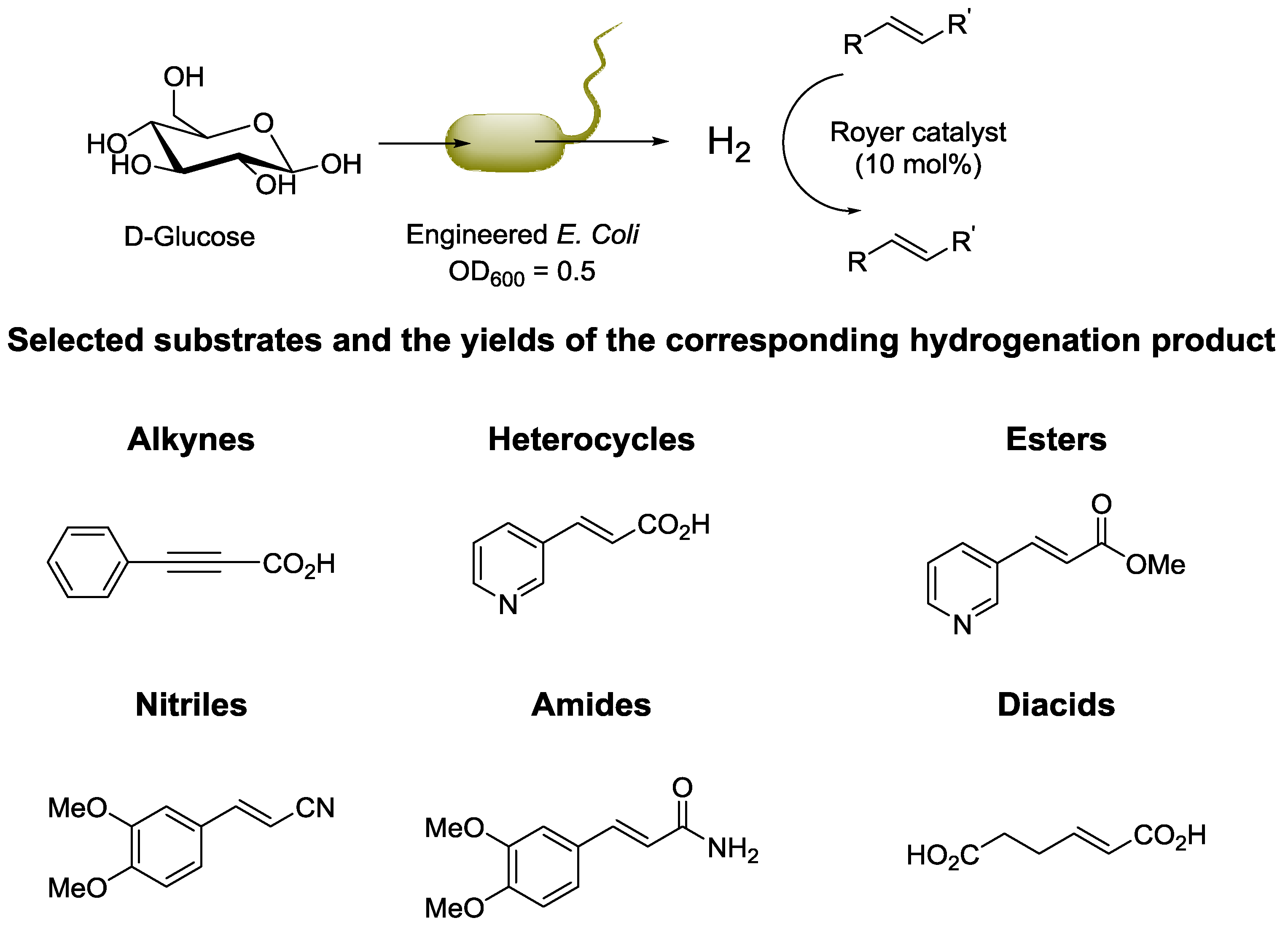 Catalysts 06 00194 sch015