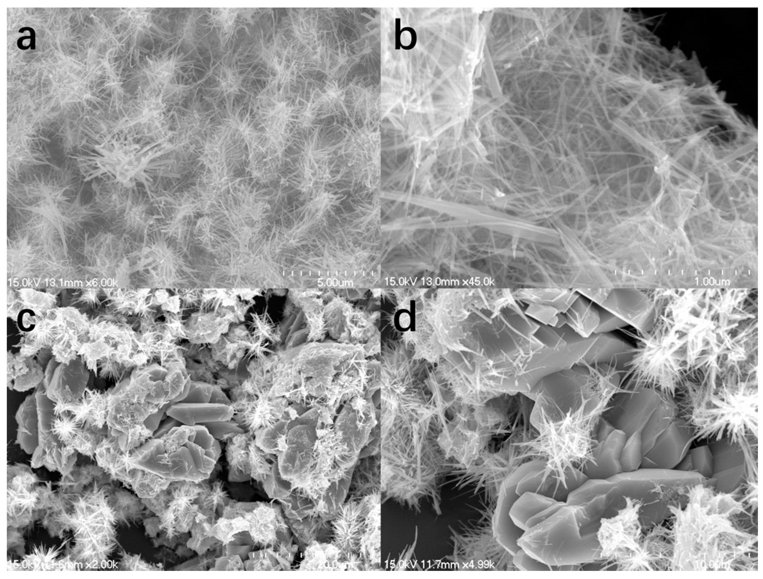 Catalysts 06 00198 g002