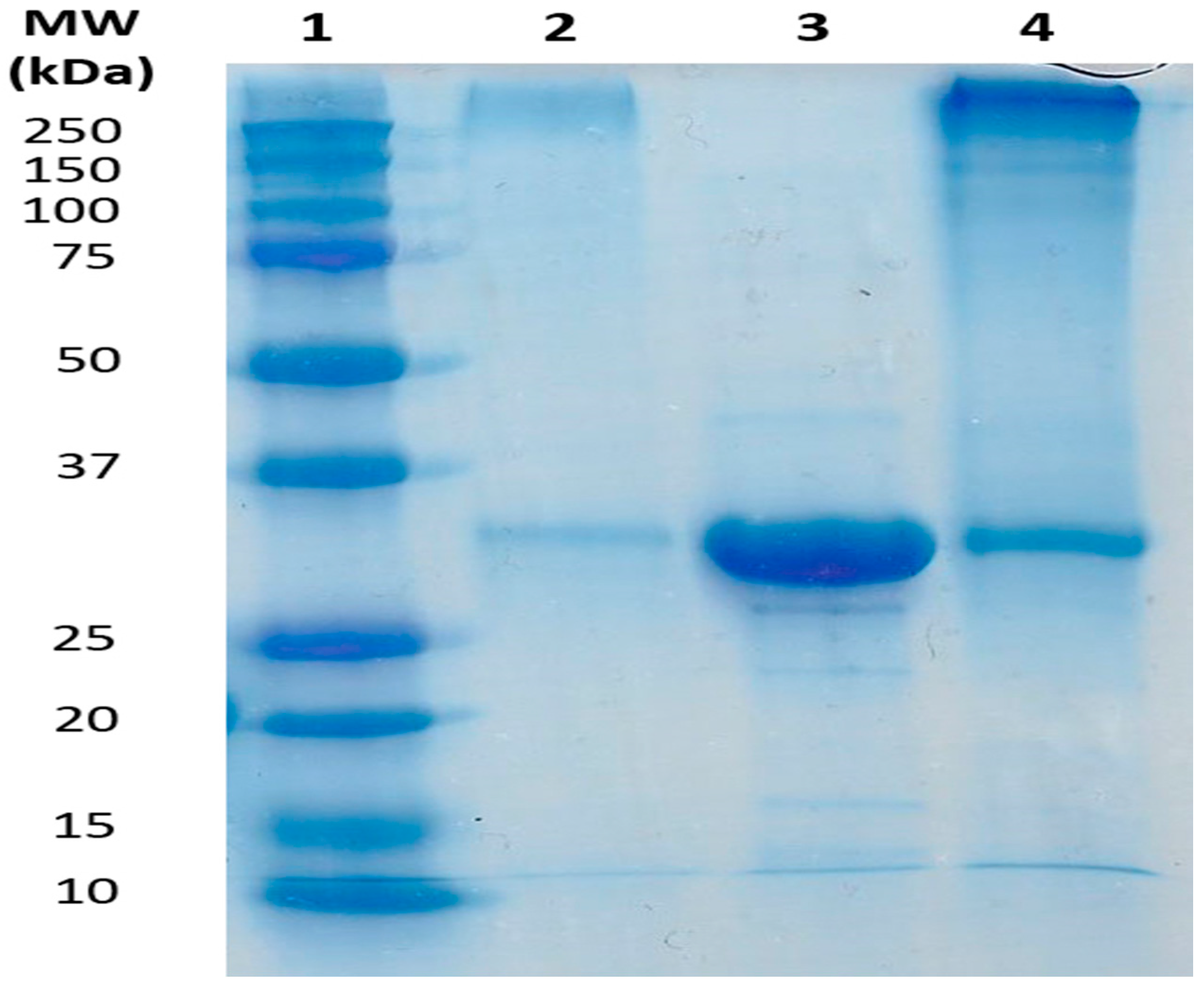 Catalysts 06 00202 g002 550