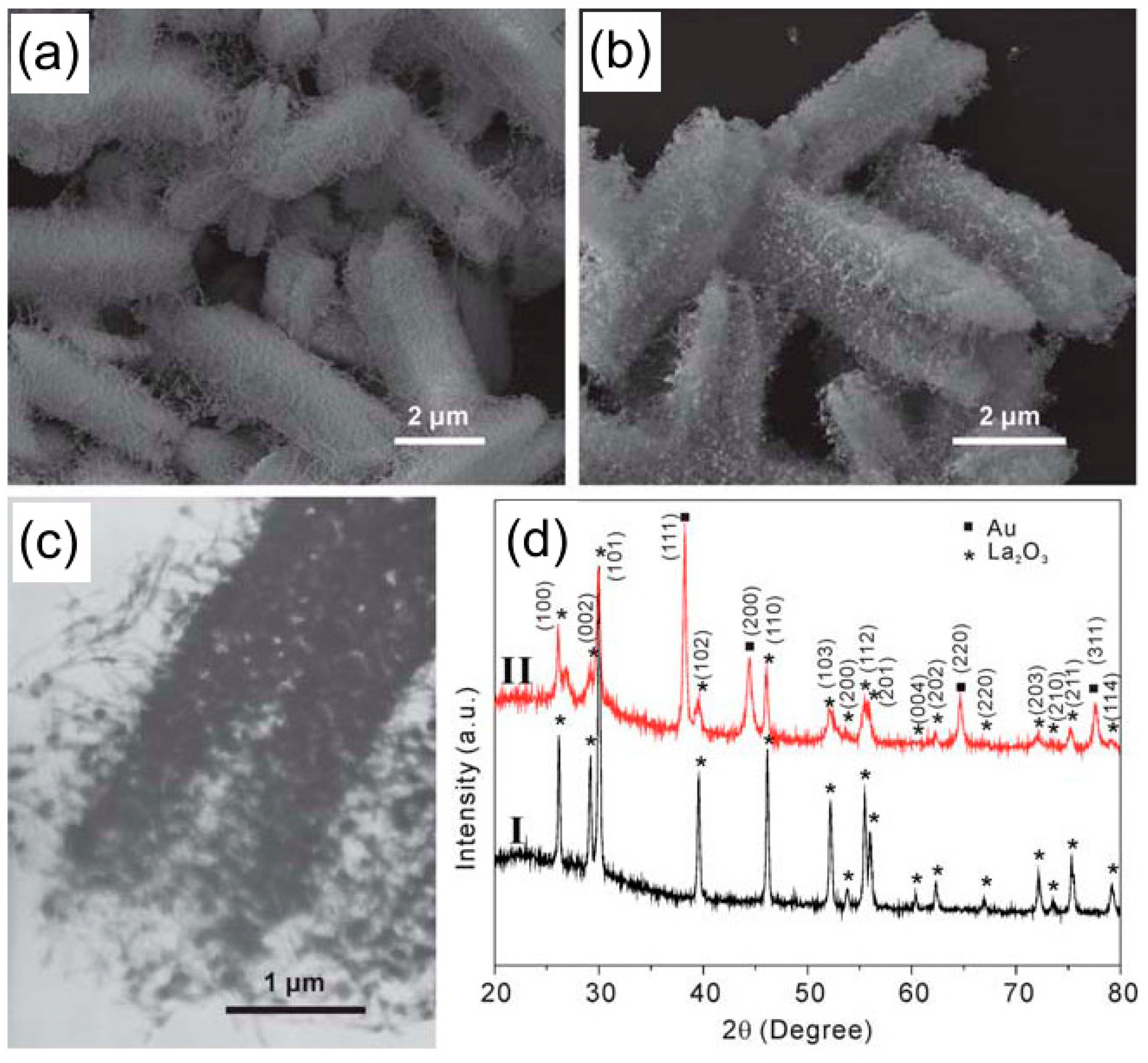 Catalysts 06 00210 g004 550