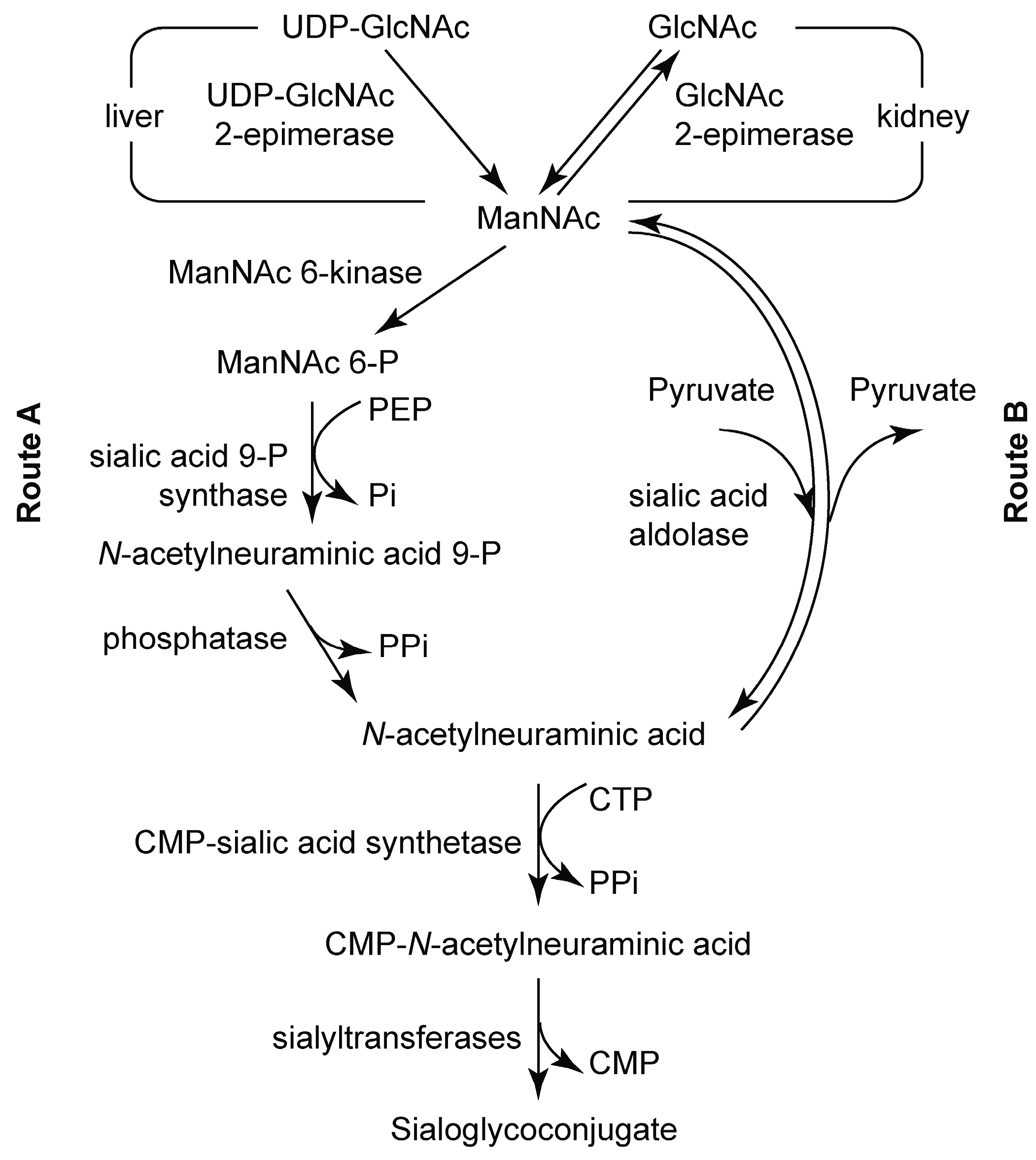Catalysts 06 00212 sch001