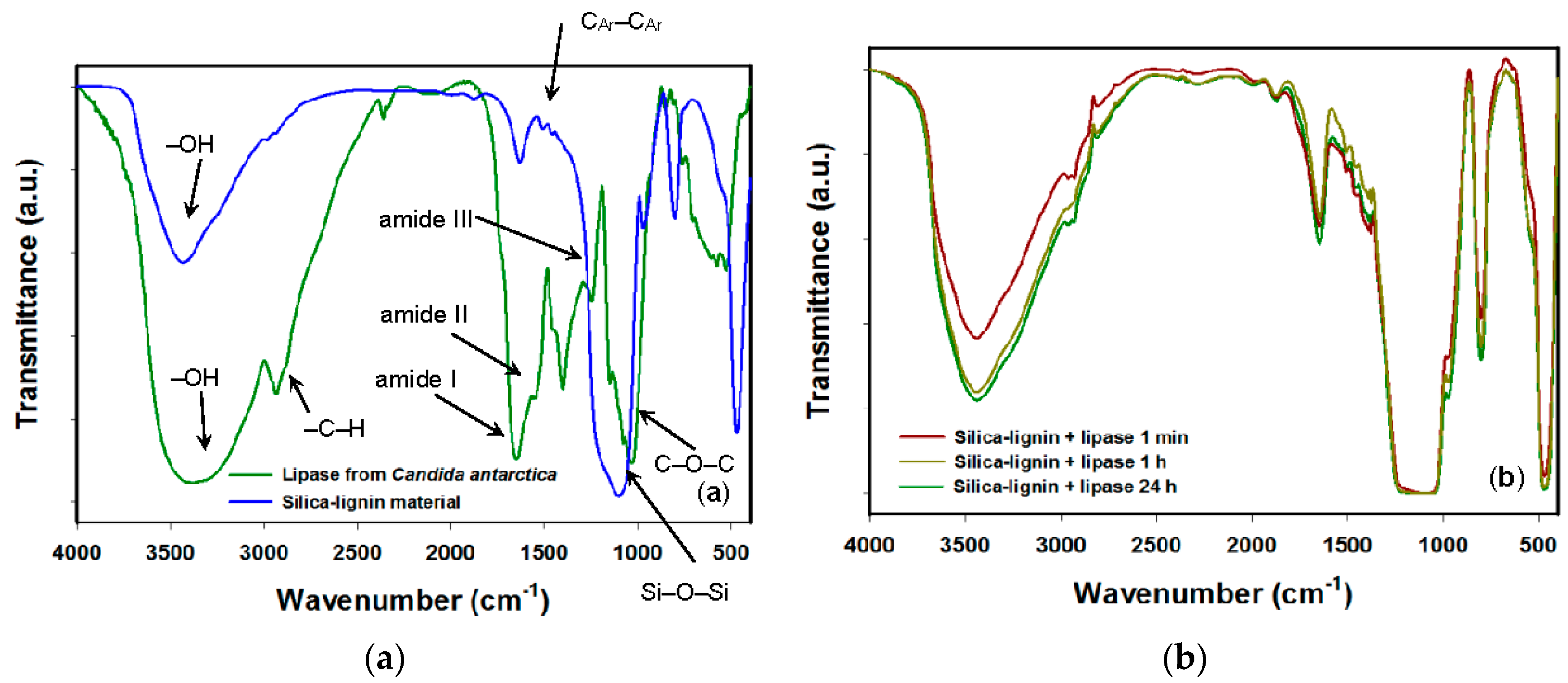 Catalysts 07 00014 g001 550