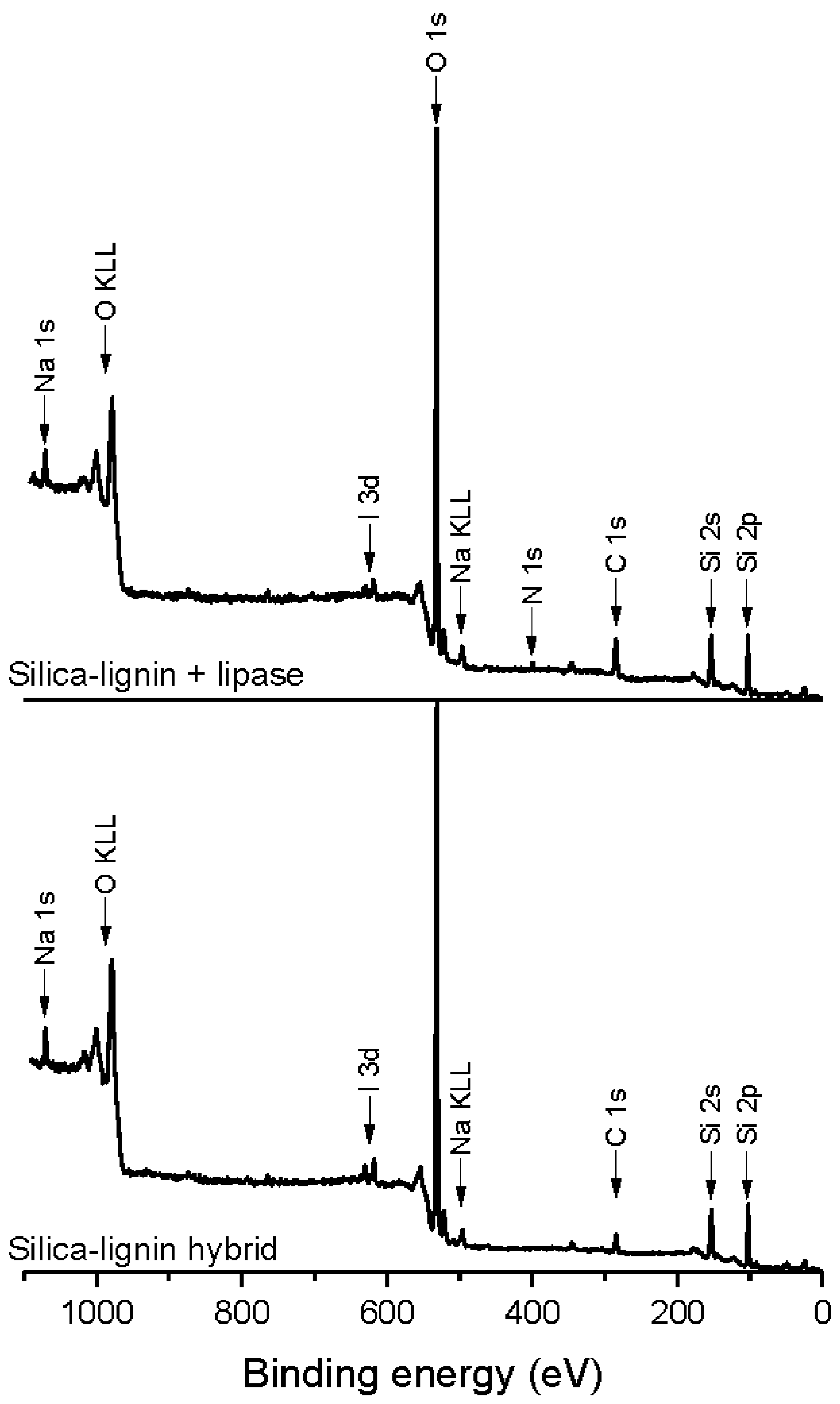 Catalysts 07 00014 g003 550